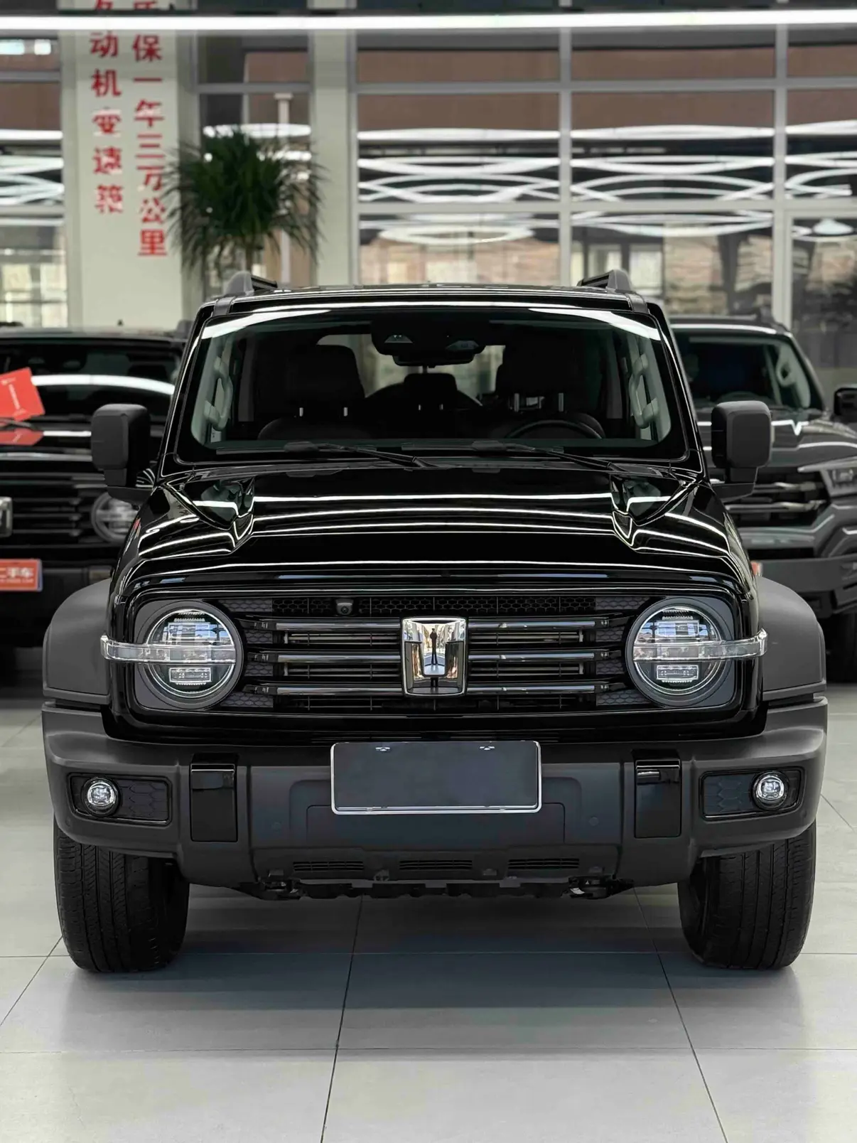 Tank 300  из Китая