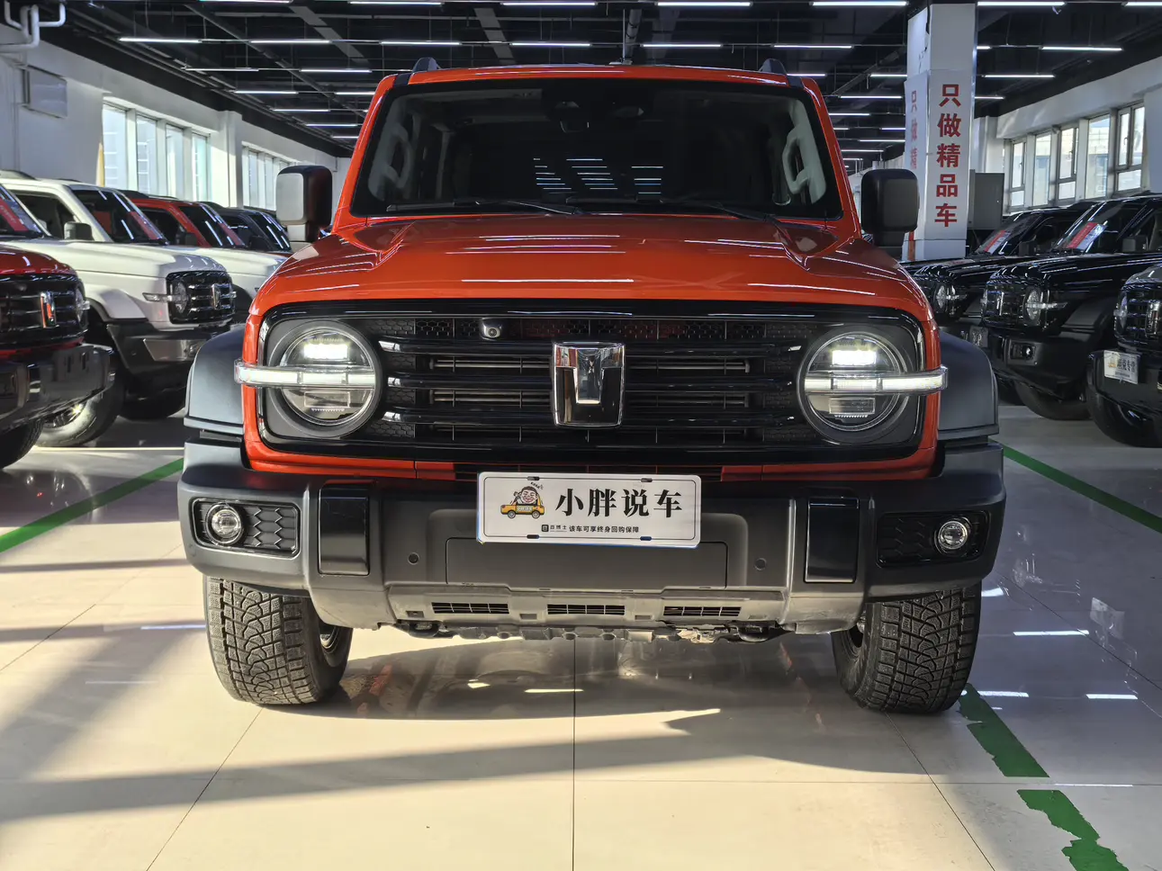 Tank 300  из Китая