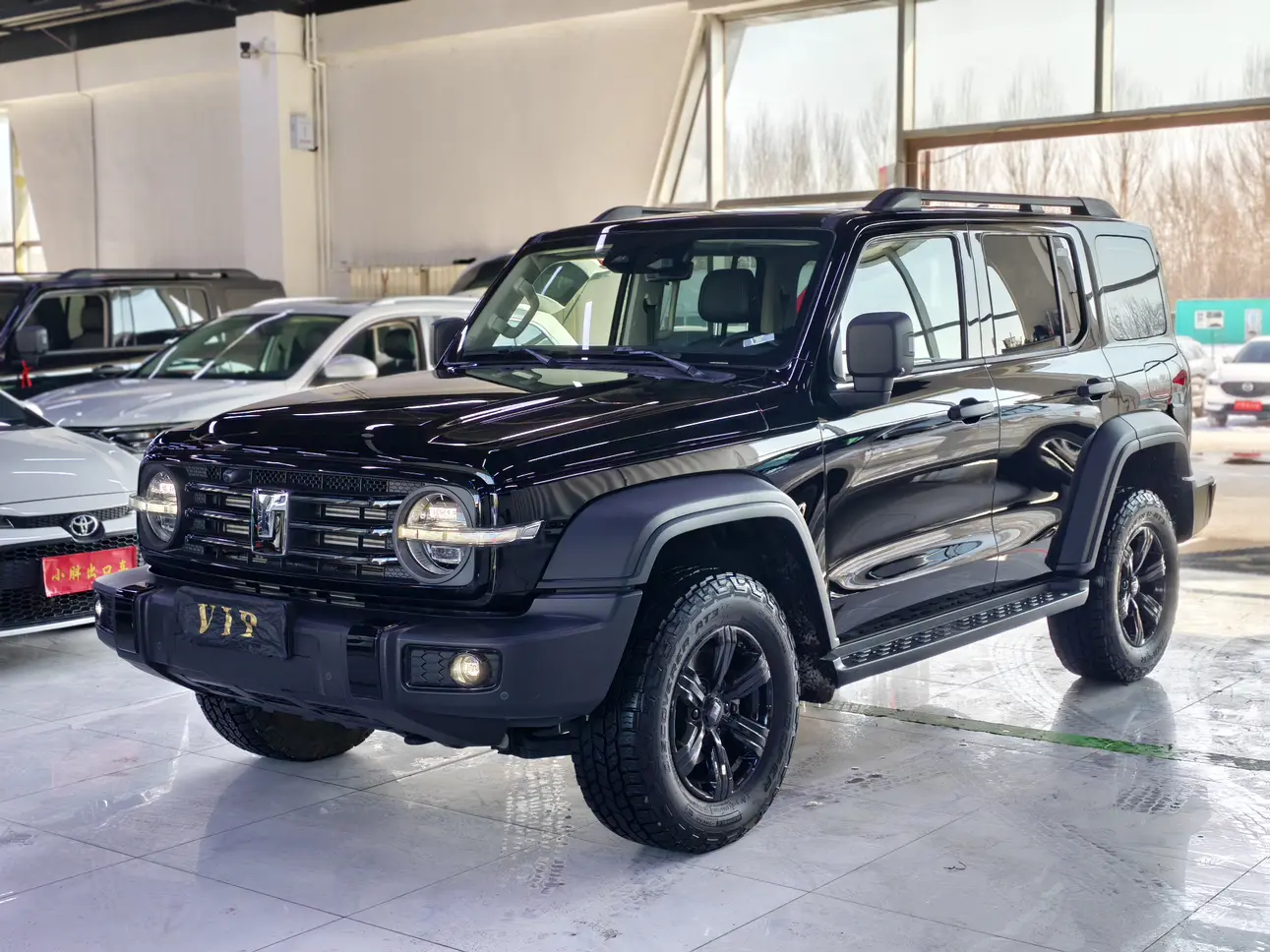 Tank 300  из Китая