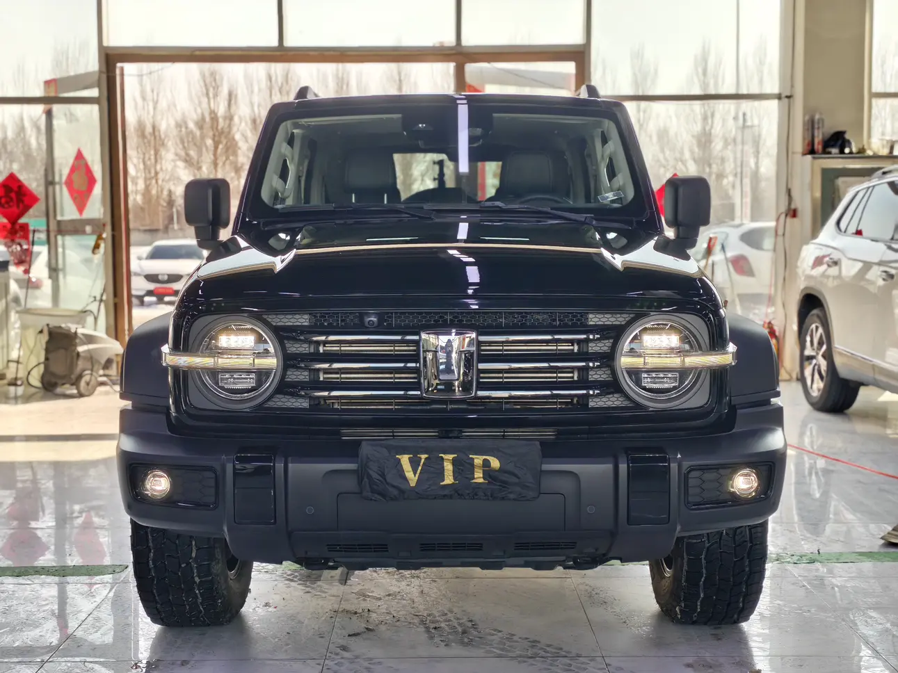 Tank 300  из Китая