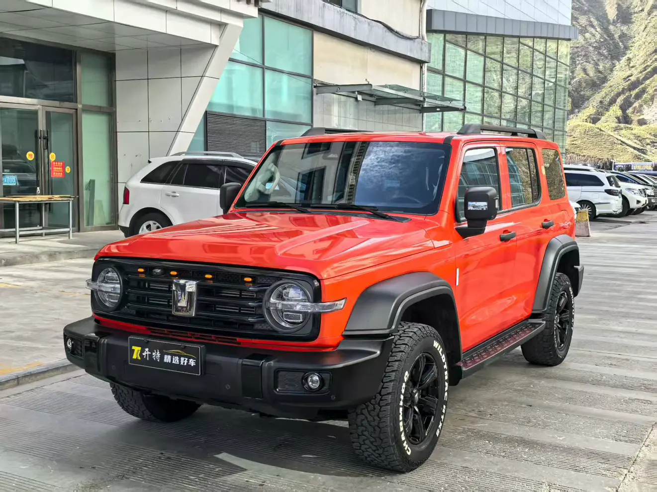 Tank 300  из Китая