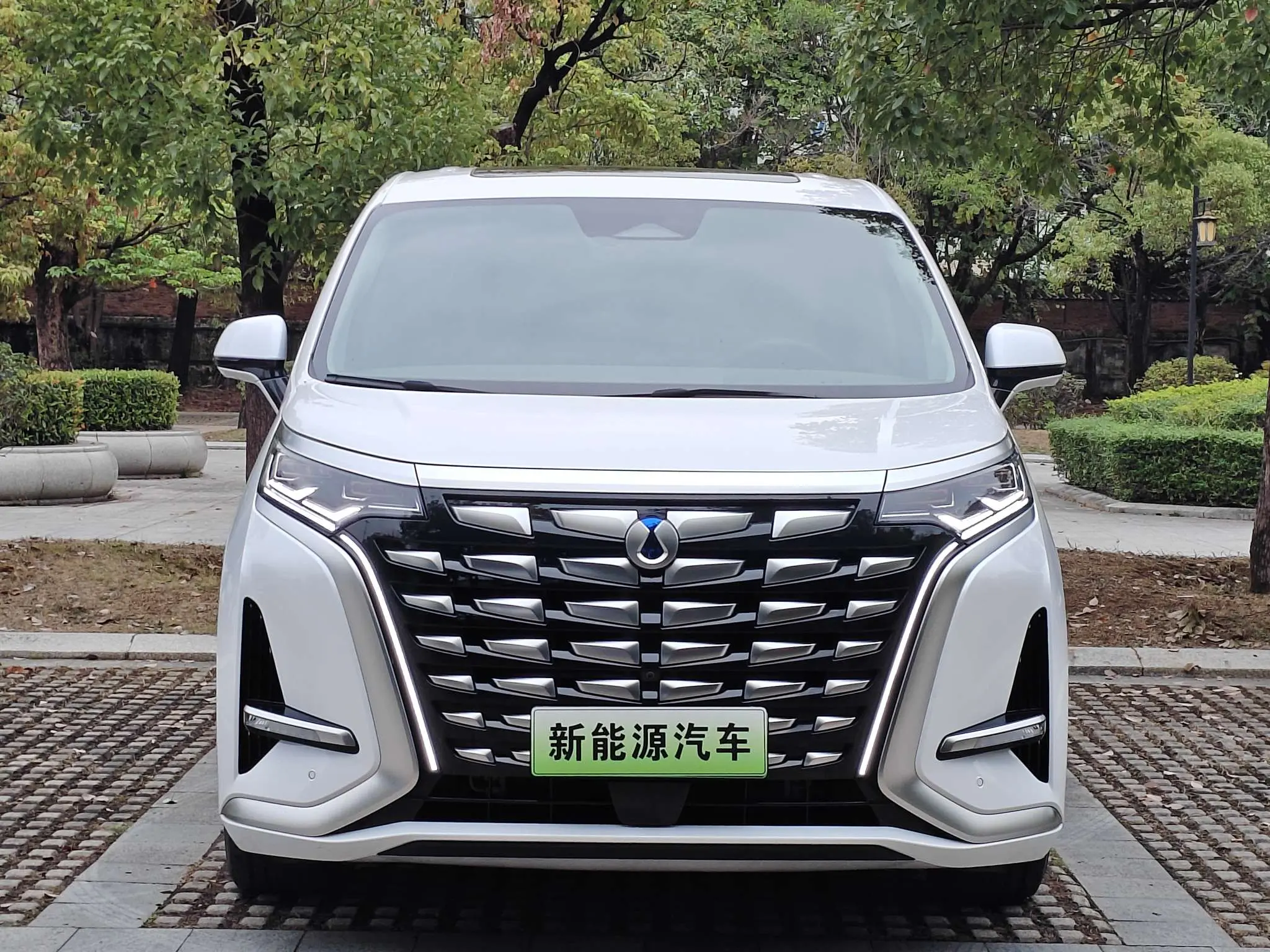 Denza D9 DM  из Китая