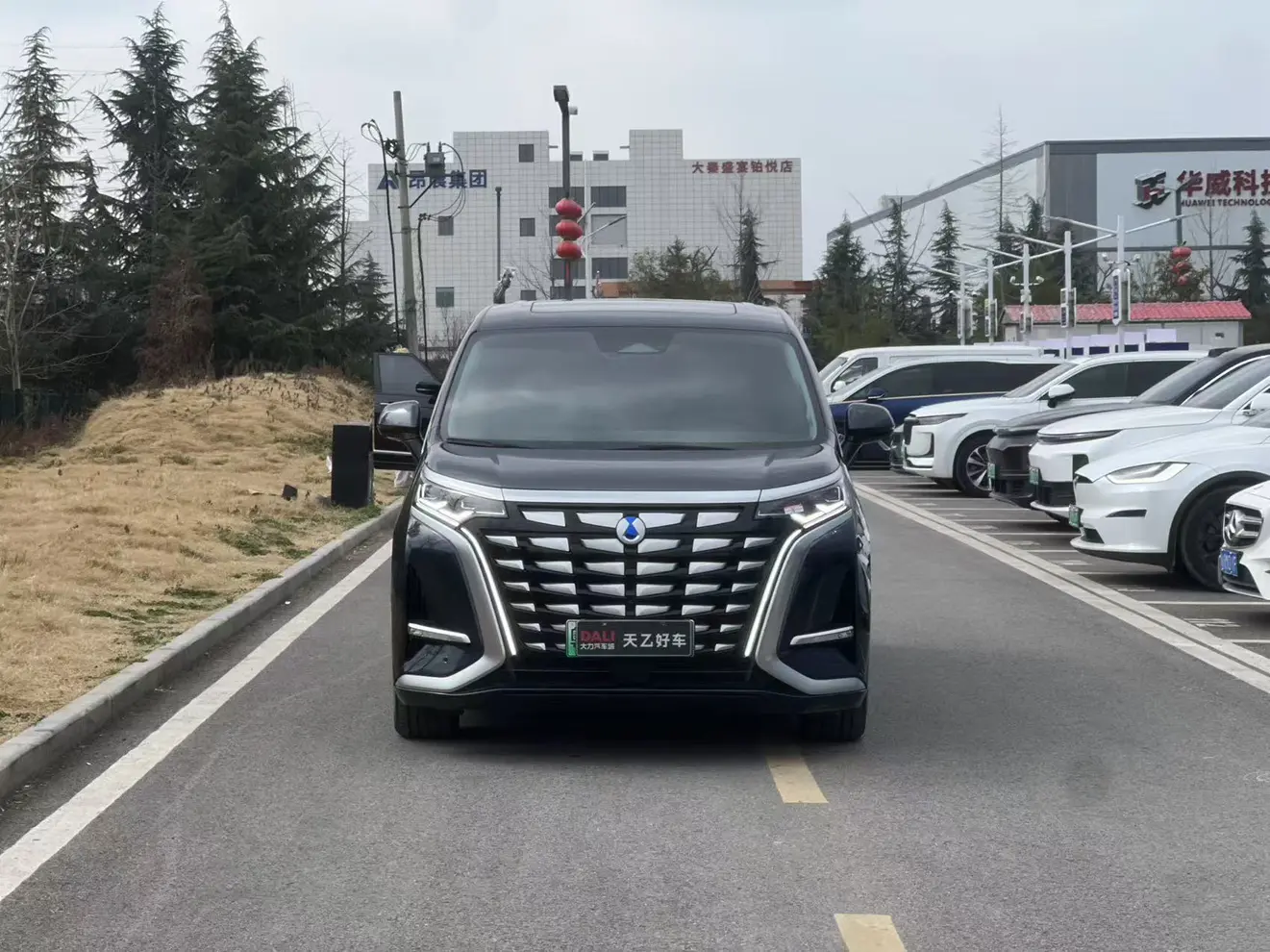 Denza D9 DM  из Китая