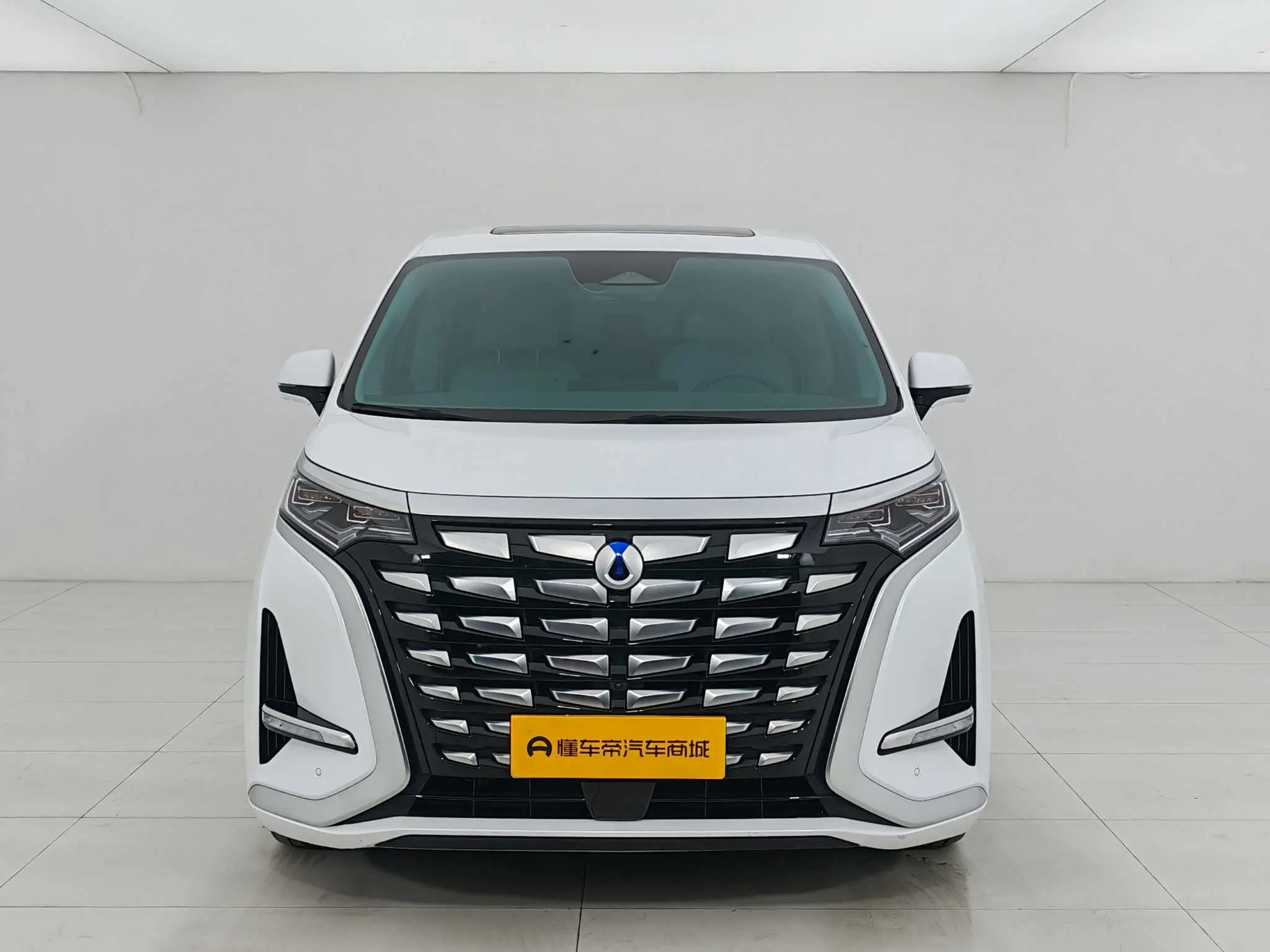 Denza D9 DM  из Китая