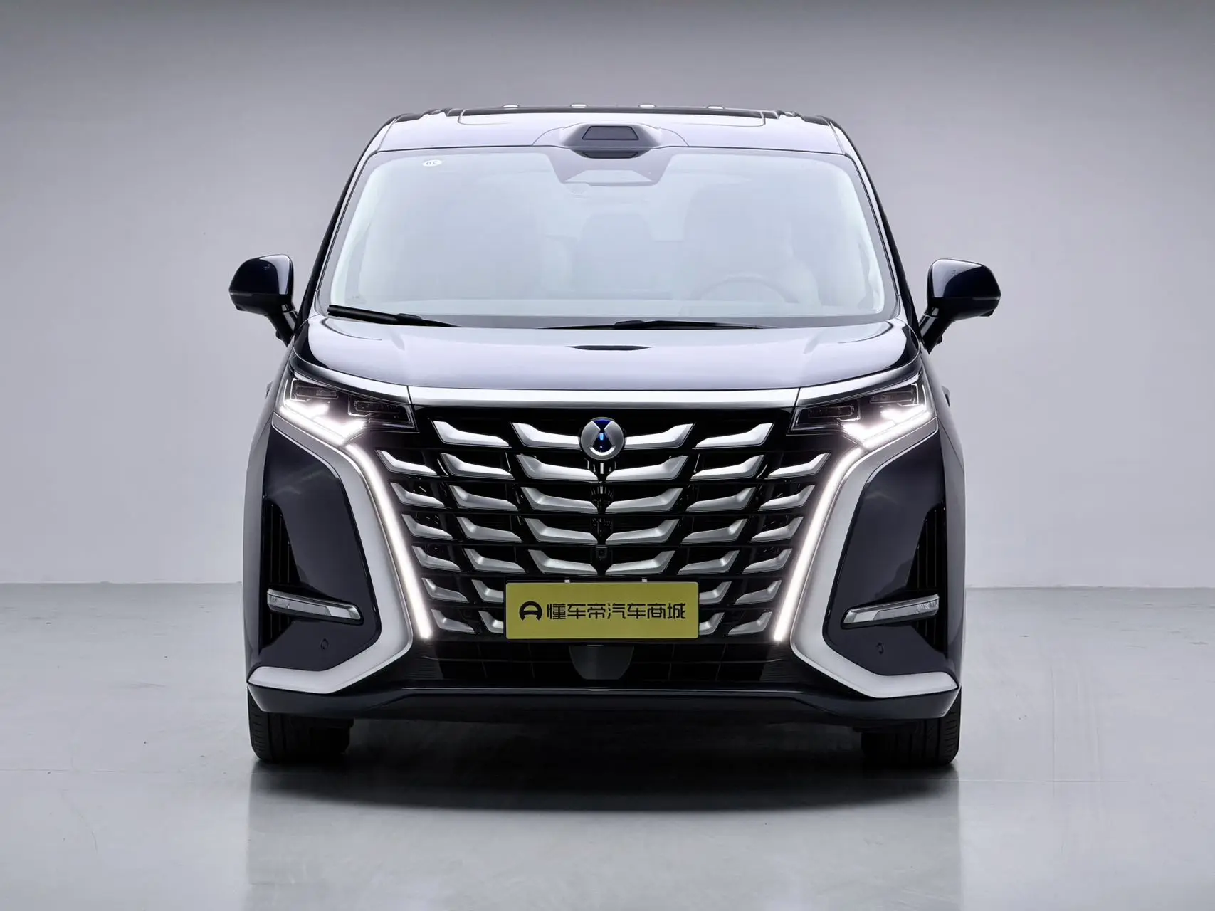 Denza D9 DM  из Китая