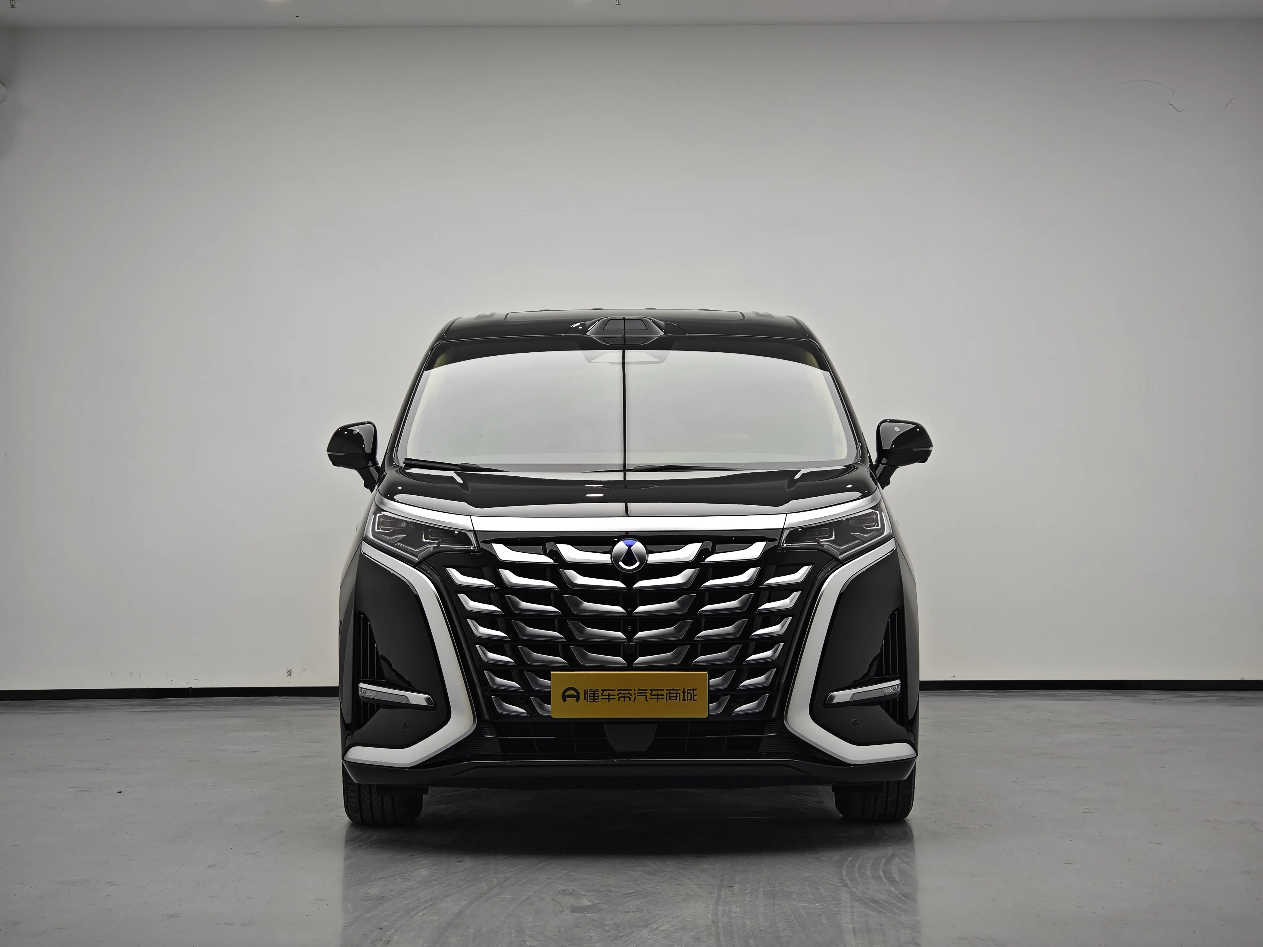 Denza D9 DM  из Китая