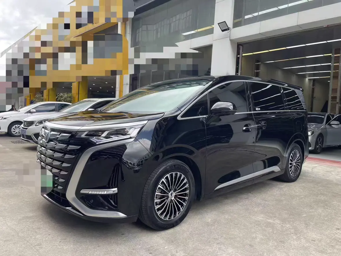 Denza D9 DM  из Китая