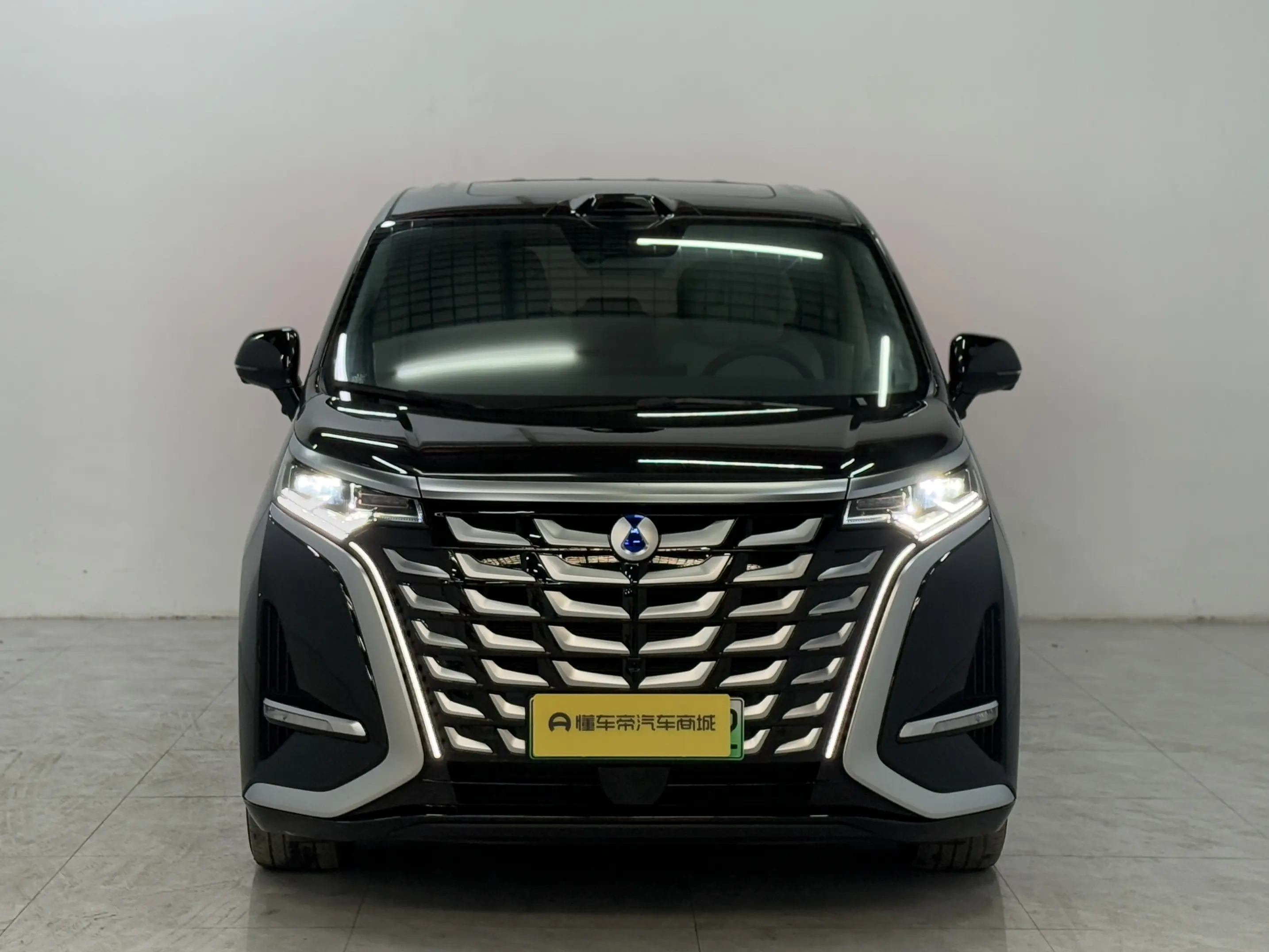 Denza D9 DM  из Китая