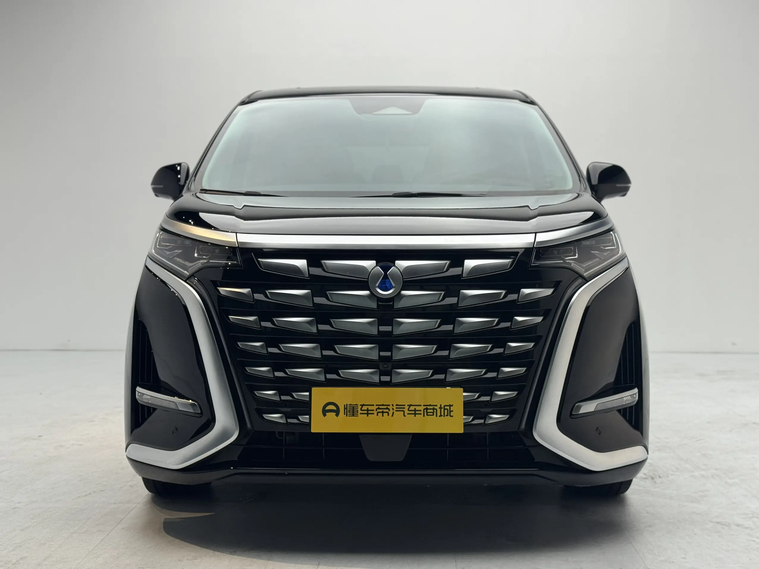 Denza D9 DM  из Китая