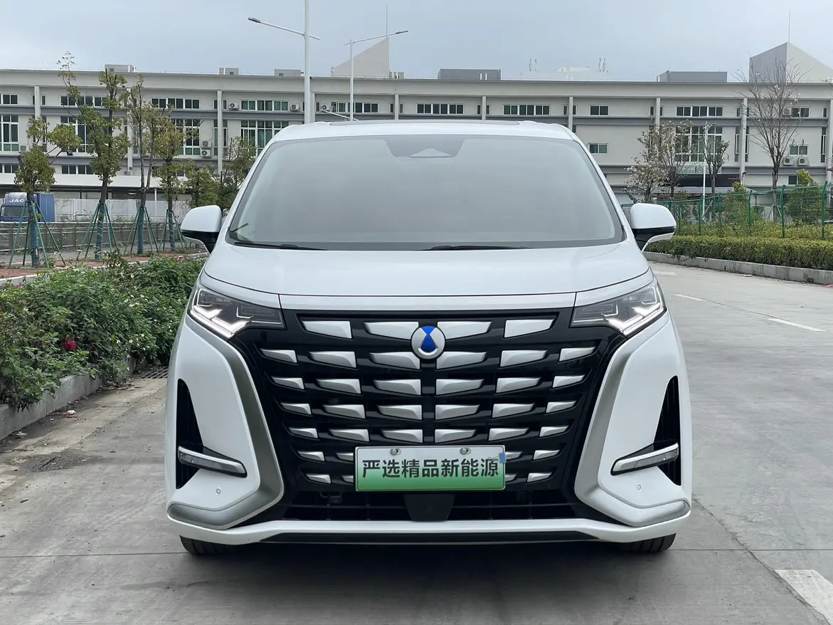 Denza D9 DM  из Китая