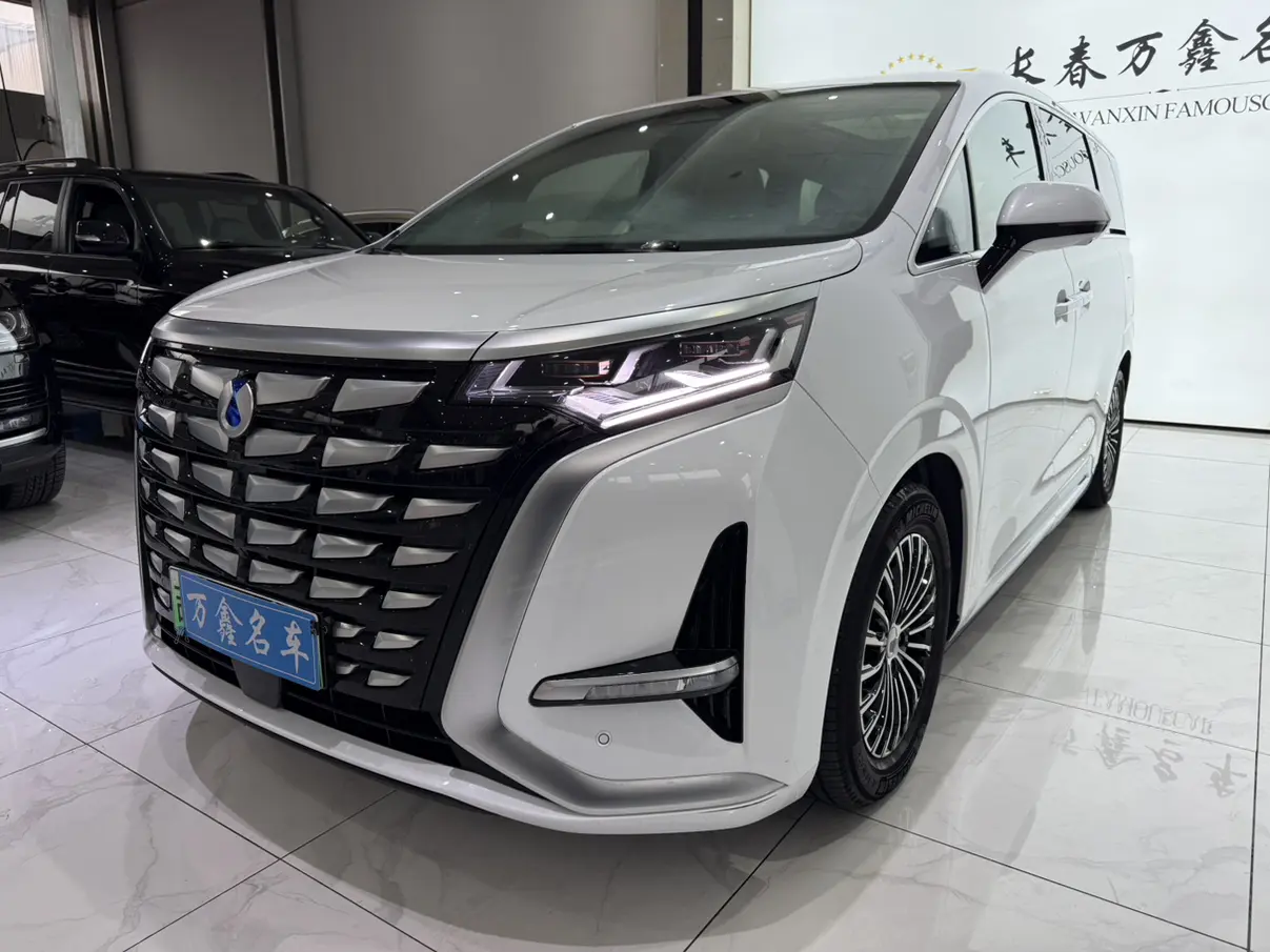 Denza D9 DM  из Китая