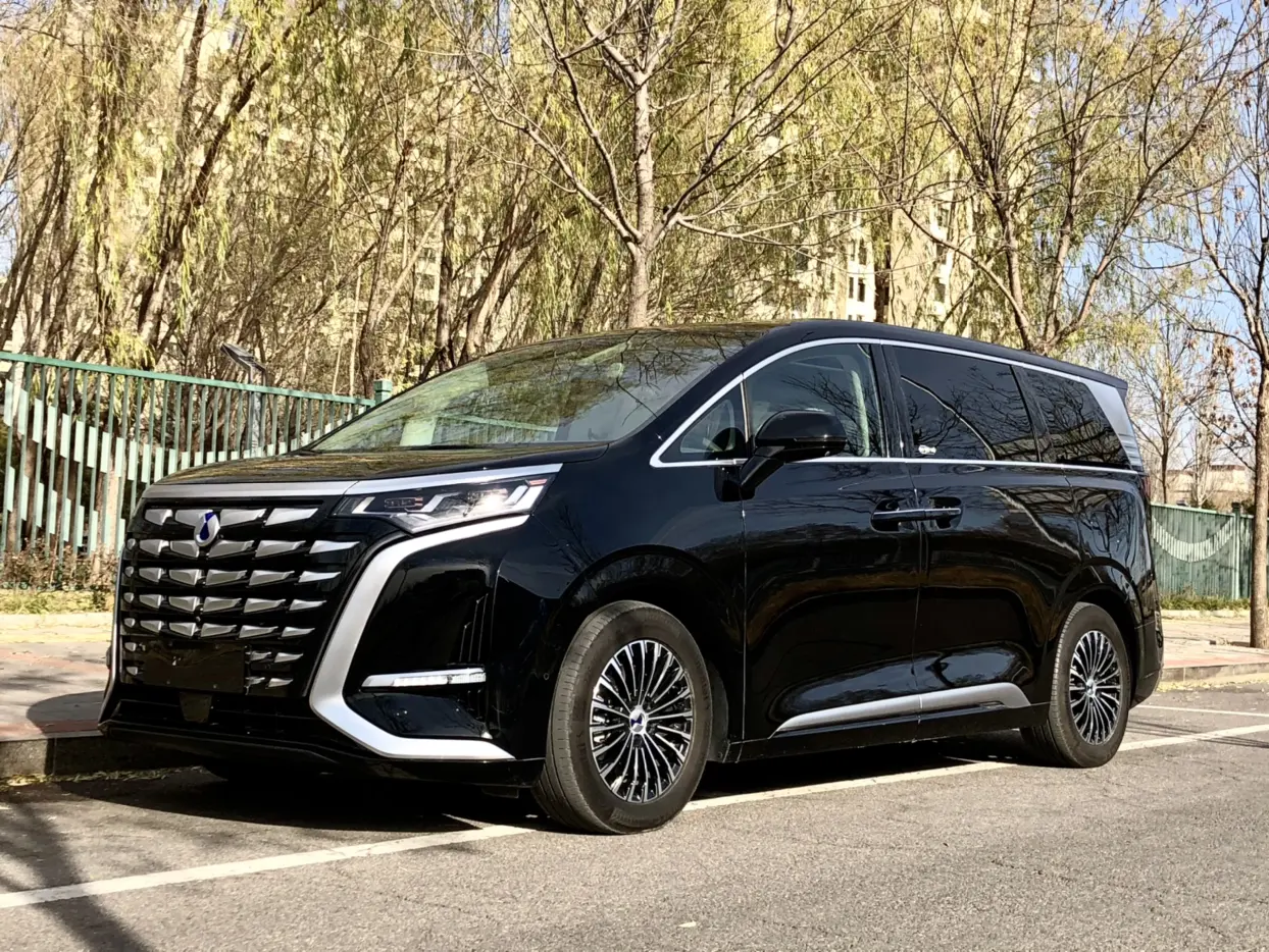 Denza D9 DM  из Китая