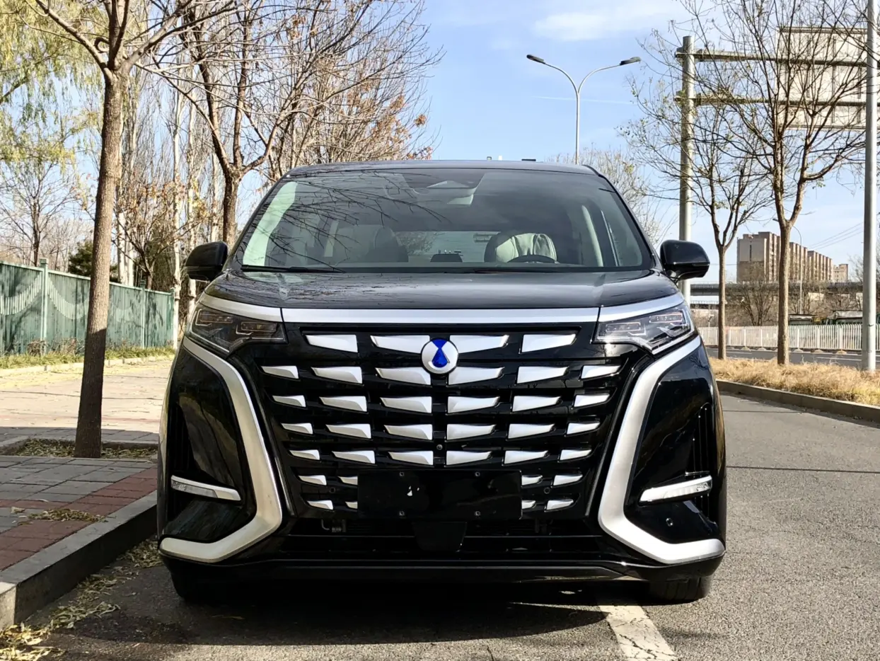 Denza D9 DM  из Китая