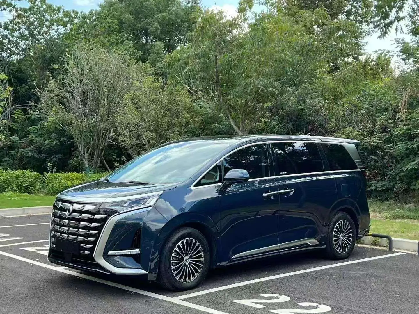 Denza D9 DM  из Китая