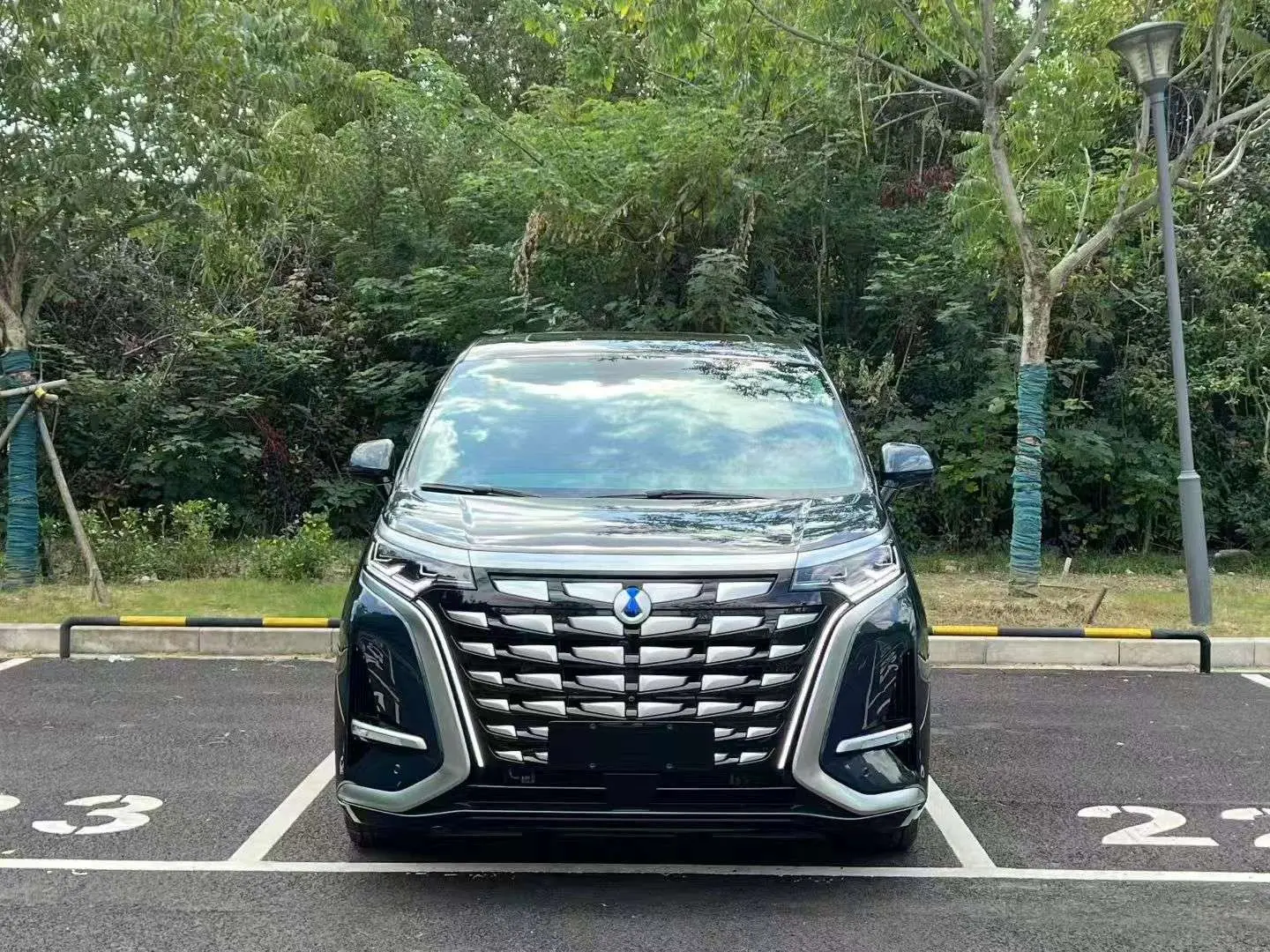 Denza D9 DM  из Китая