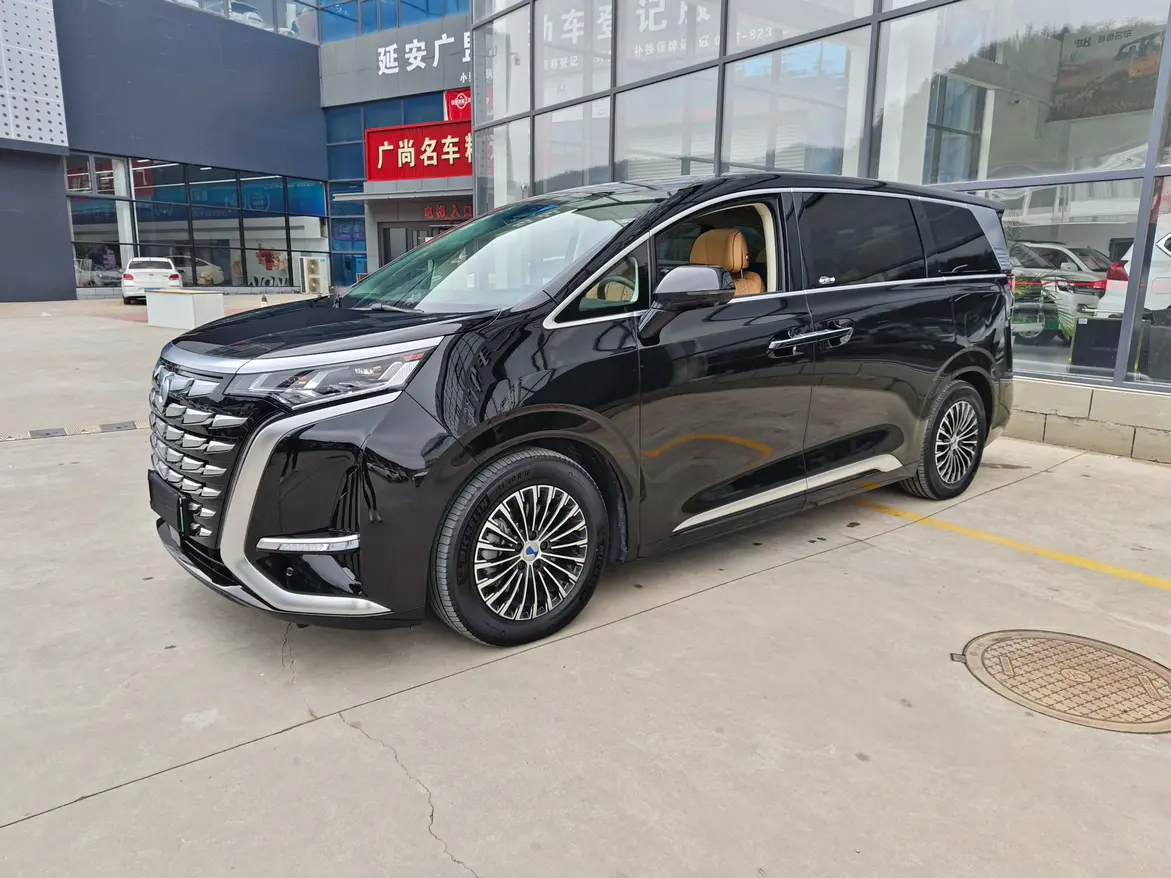 Denza D9 DM  из Китая