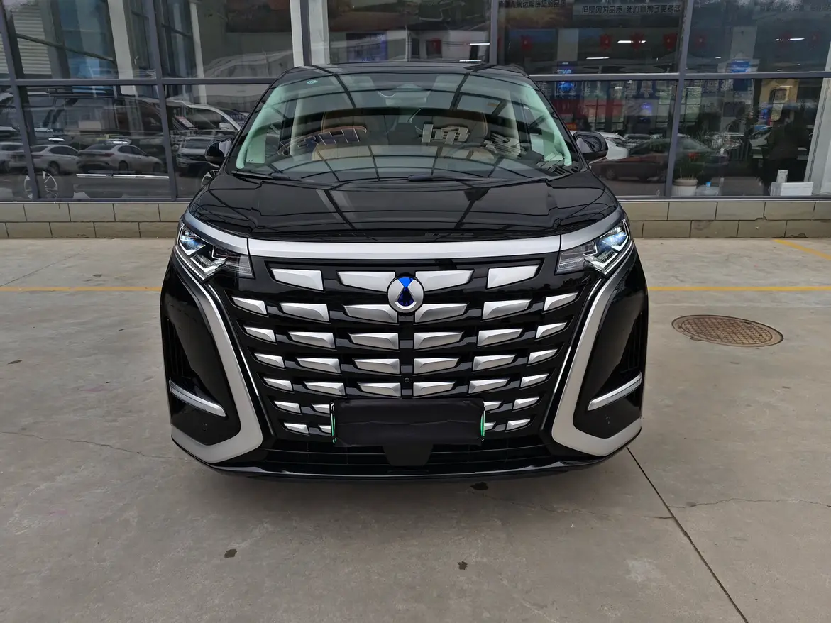 Denza D9 DM  из Китая