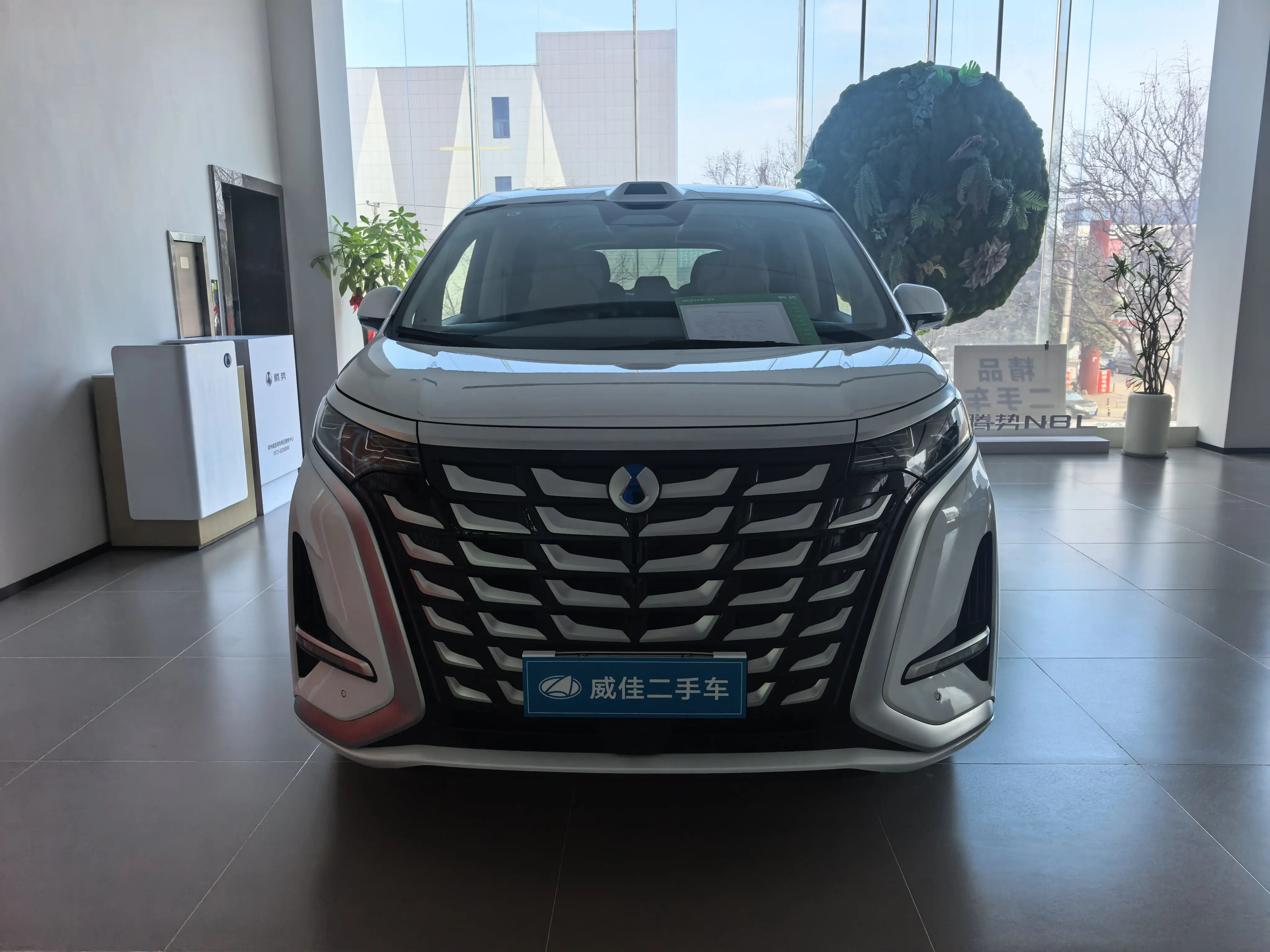 Denza D9 DM  из Китая