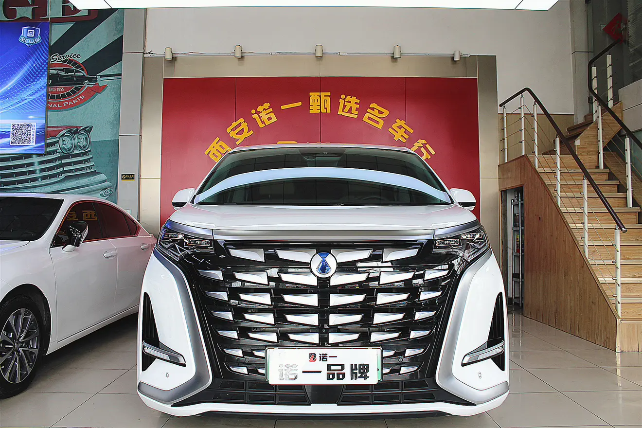 Denza D9 DM  из Китая