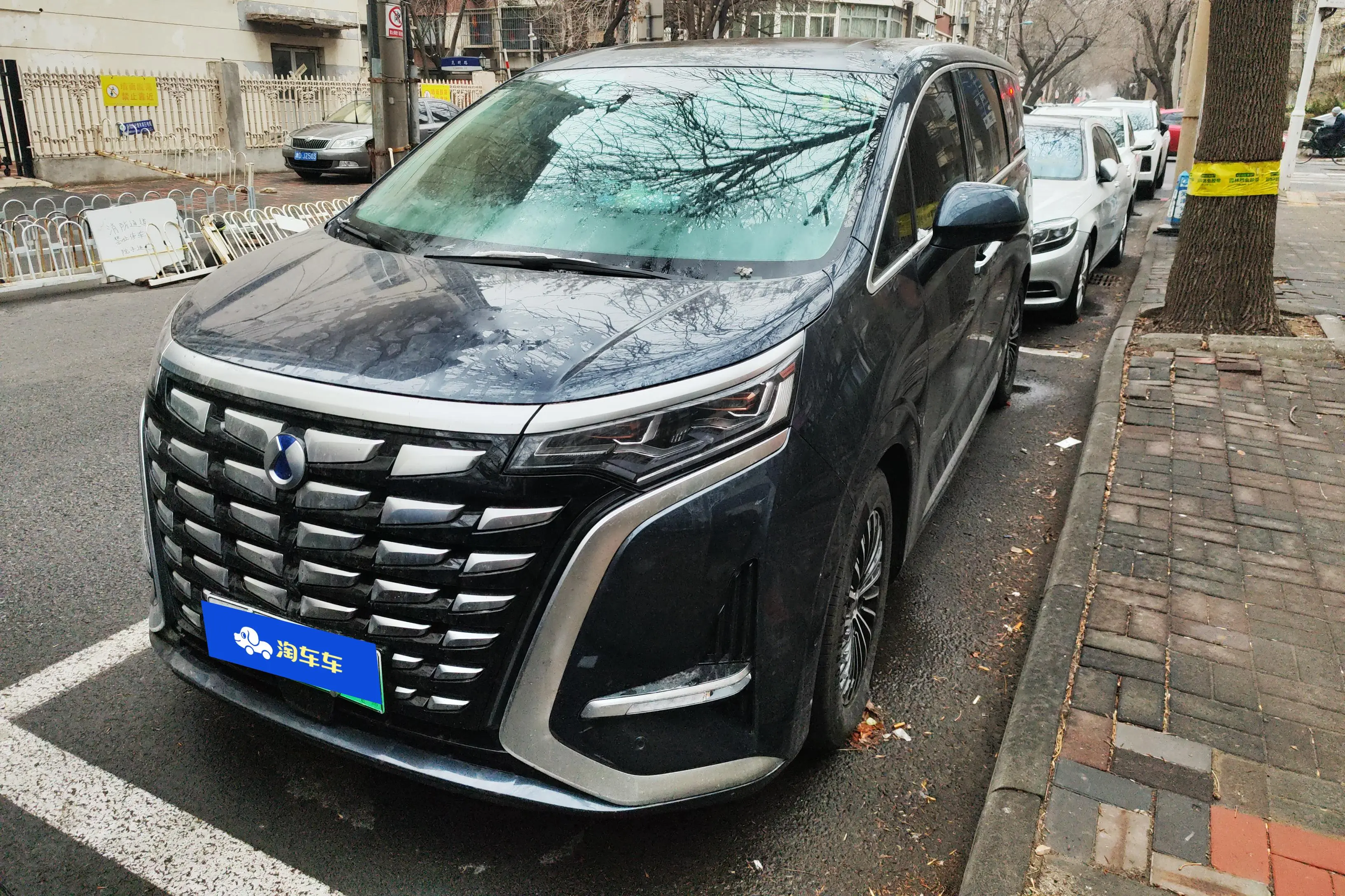 Denza D9 DM  из Китая