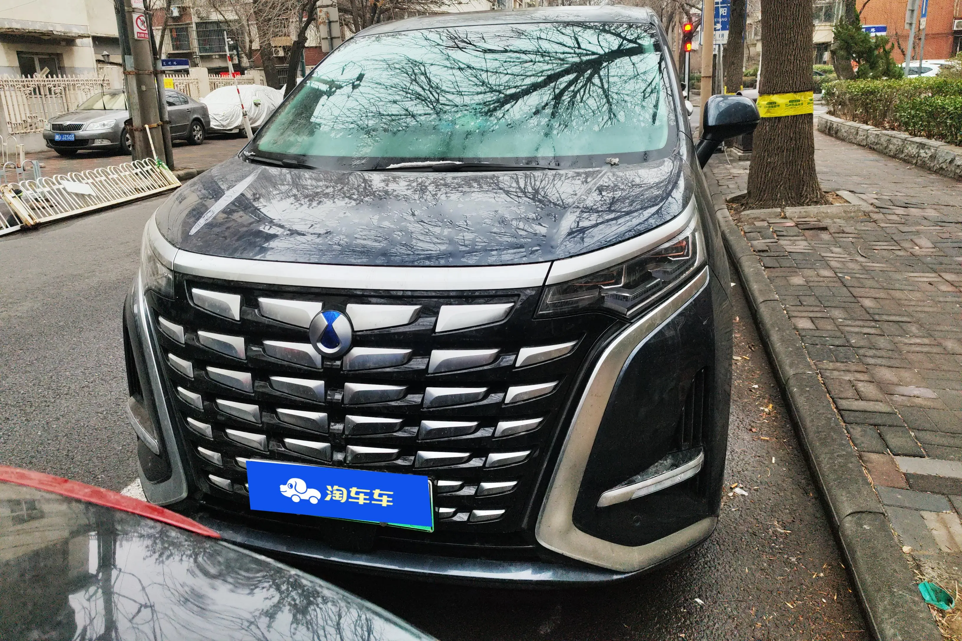 Denza D9 DM  из Китая