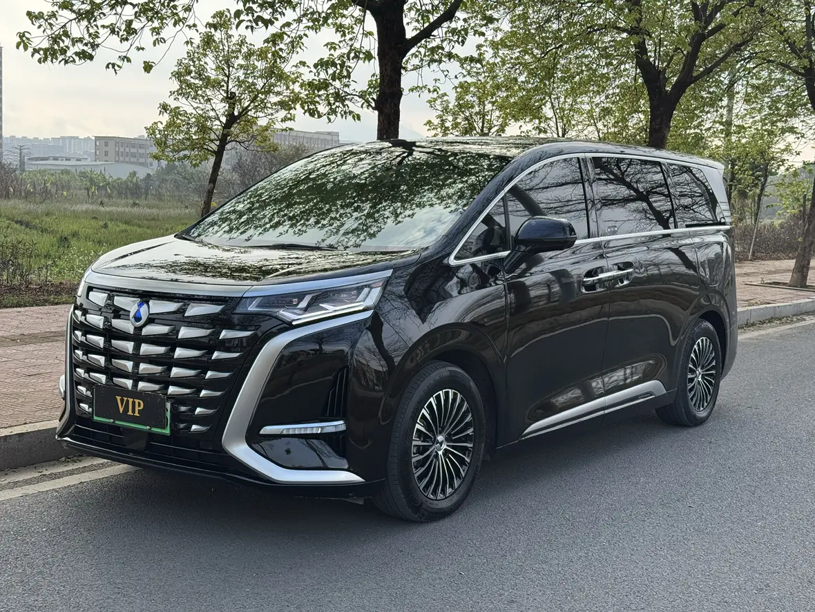 Denza D9 DM  из Китая