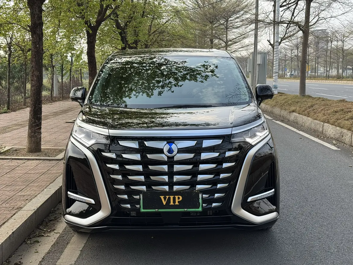 Denza D9 DM  из Китая