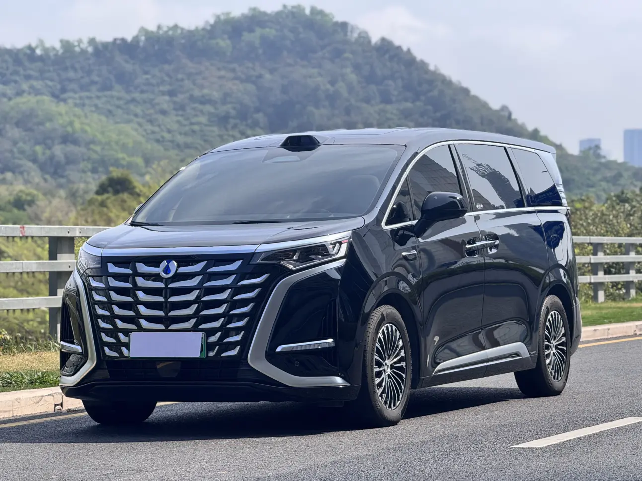 Denza D9 DM  из Китая