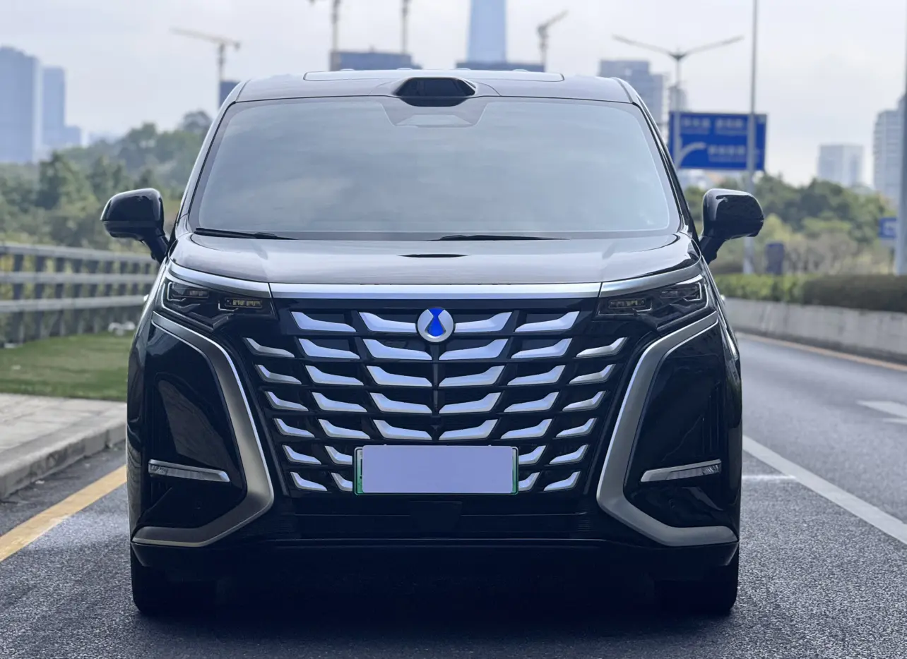 Denza D9 DM  из Китая