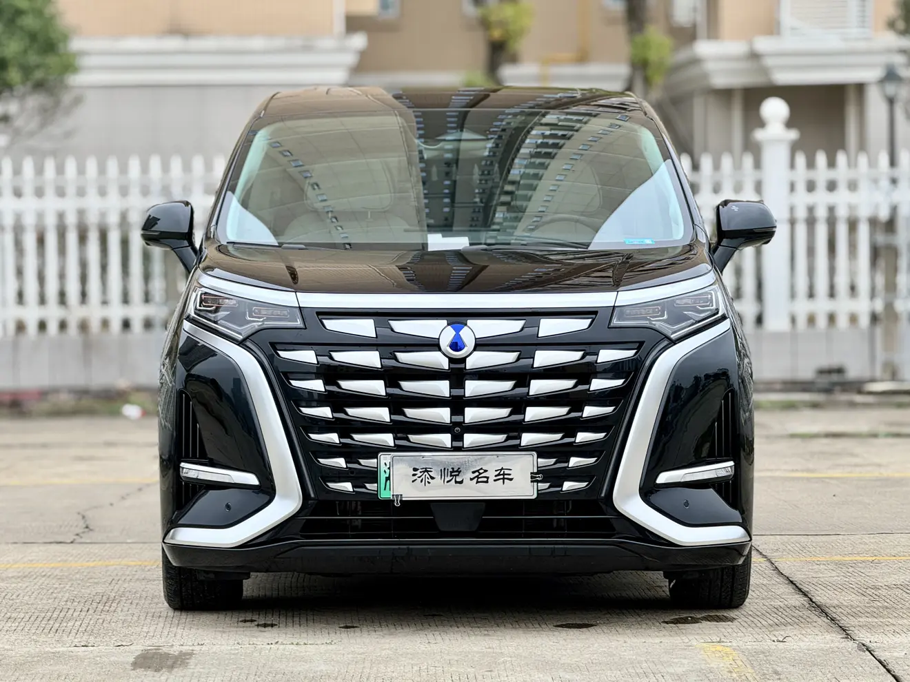 Denza D9 DM  из Китая