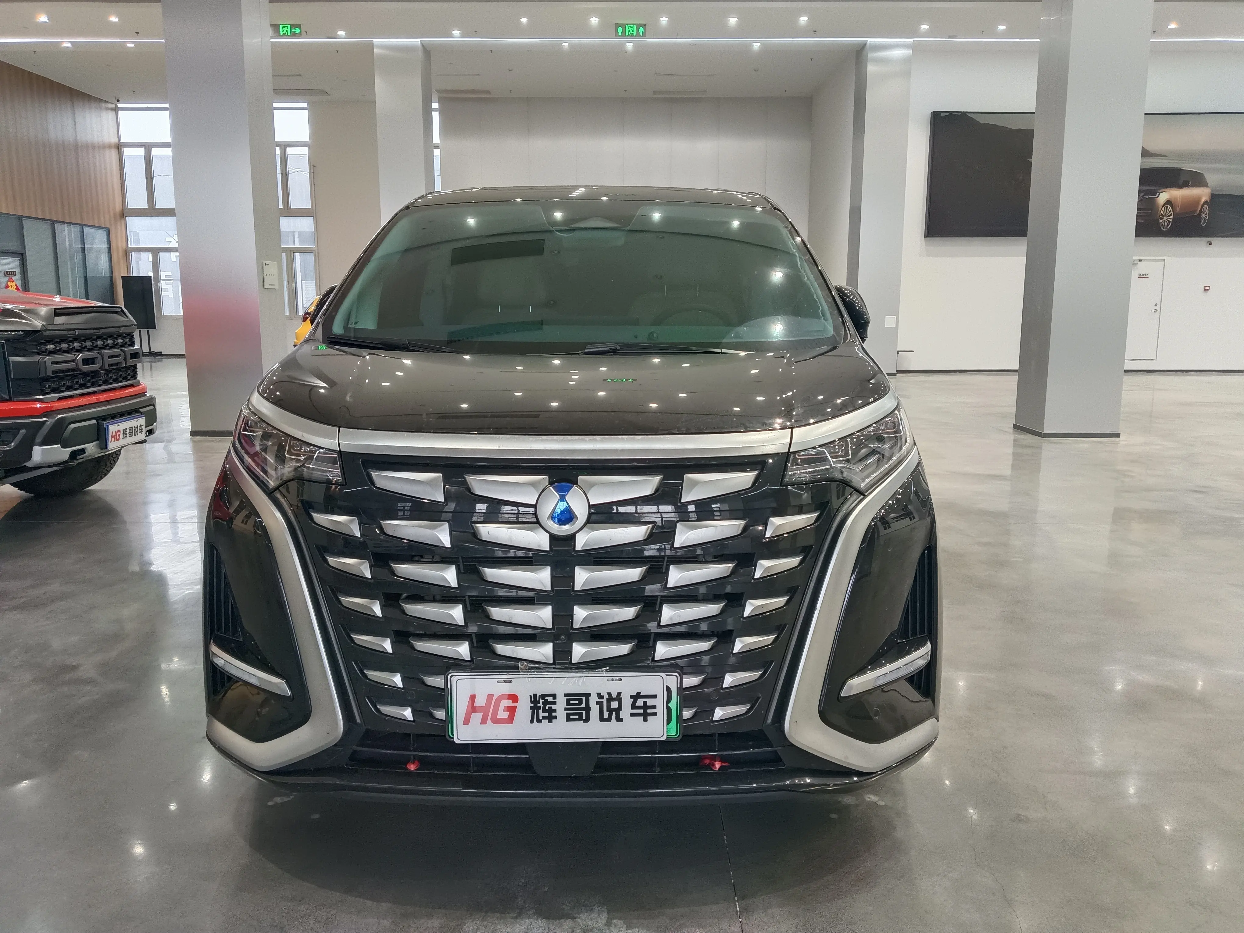 Denza D9 DM  из Китая