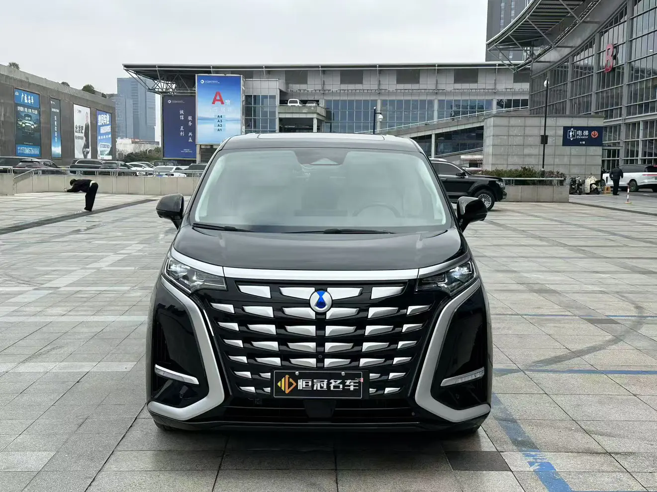 Denza D9 DM  из Китая