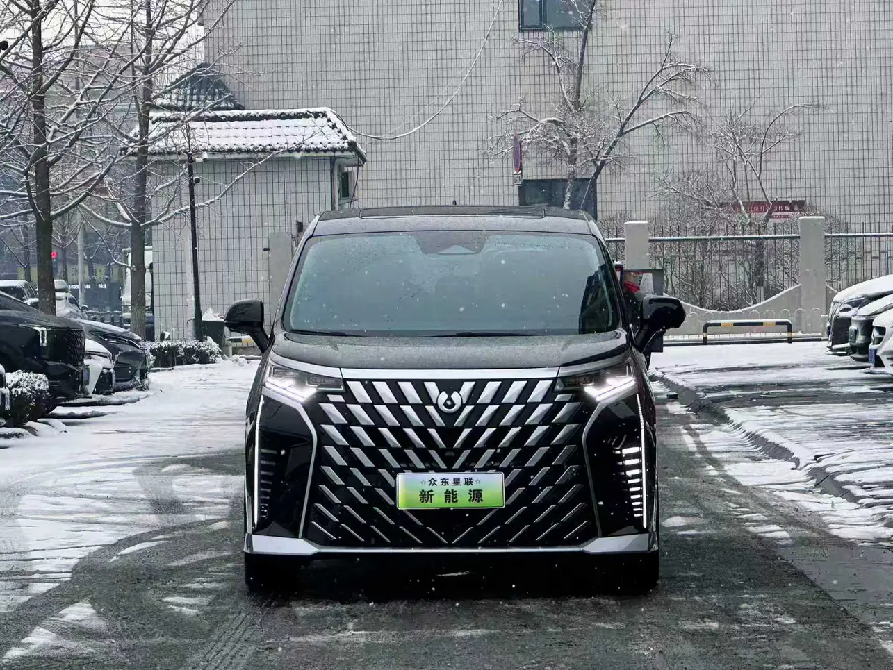 Denza D9 DM  из Китая