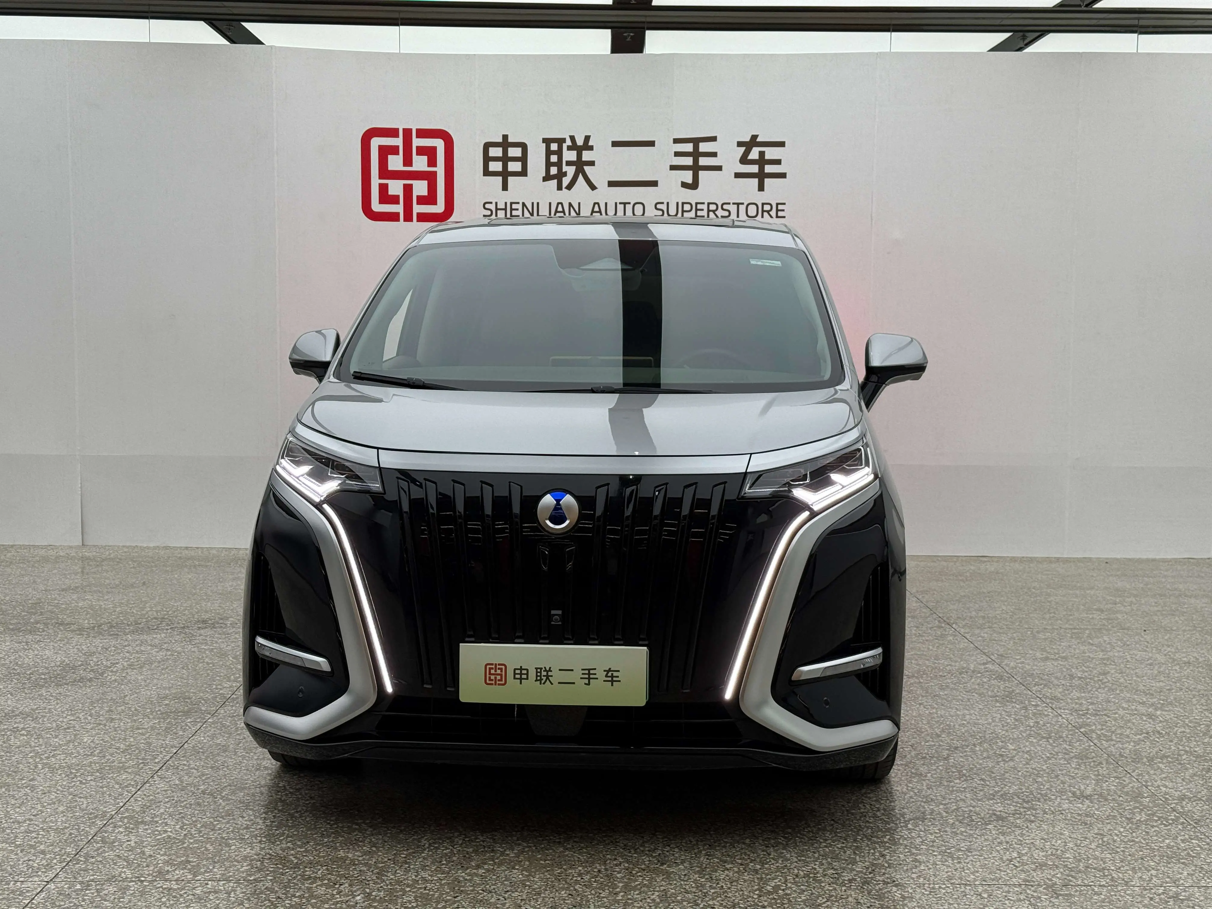 Denza D9 EV  из Китая