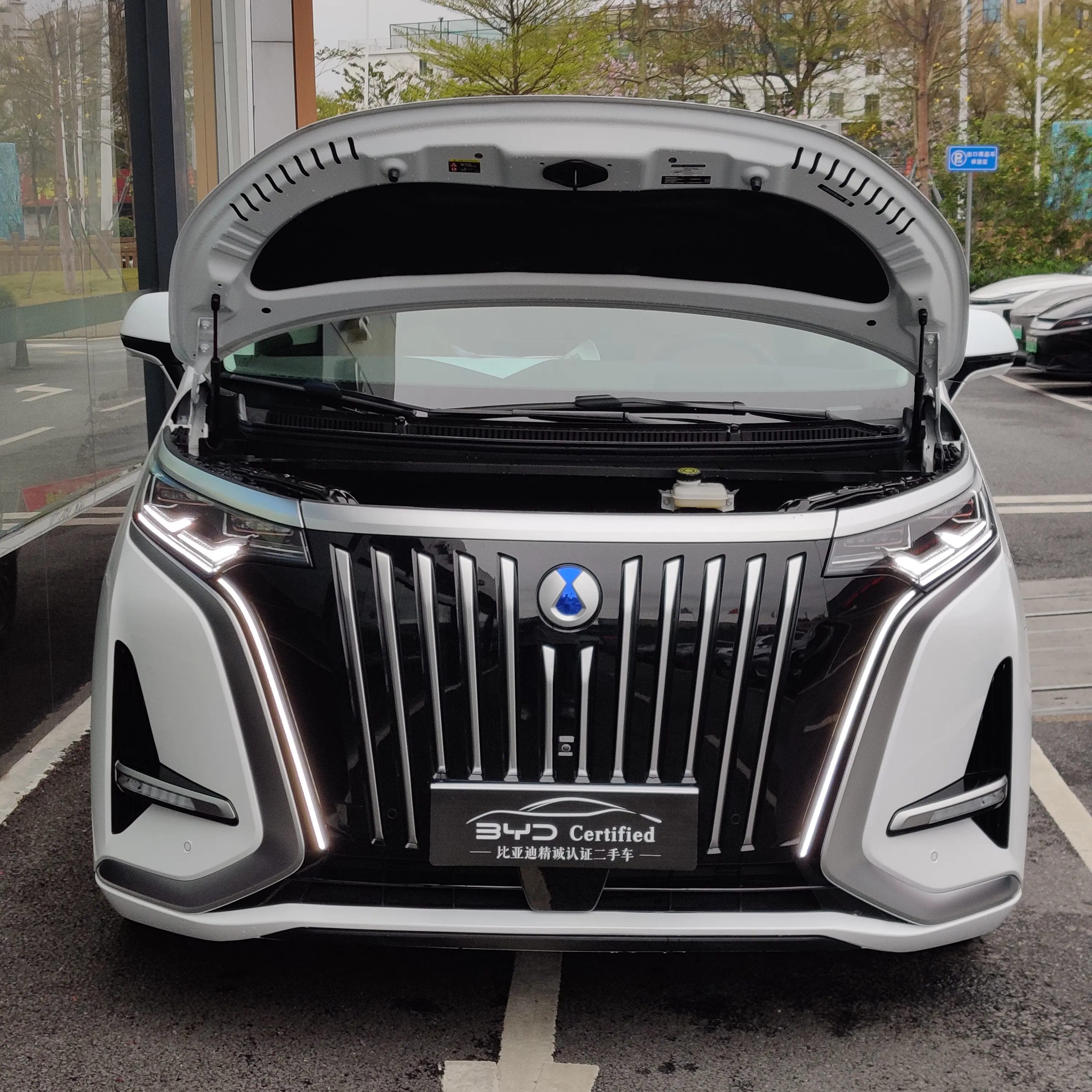 Denza D9 EV  из Китая