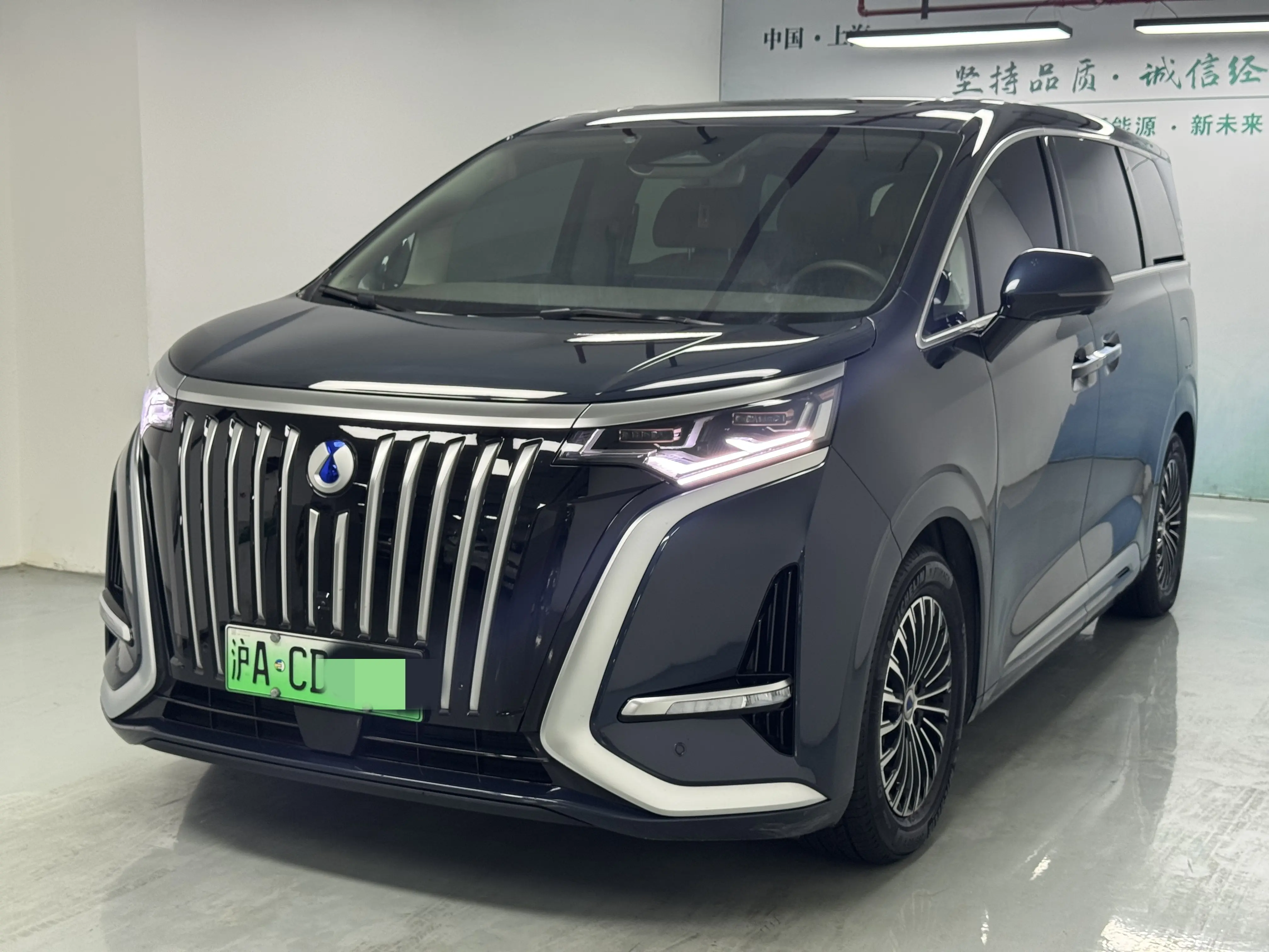 Denza D9 EV  из Китая