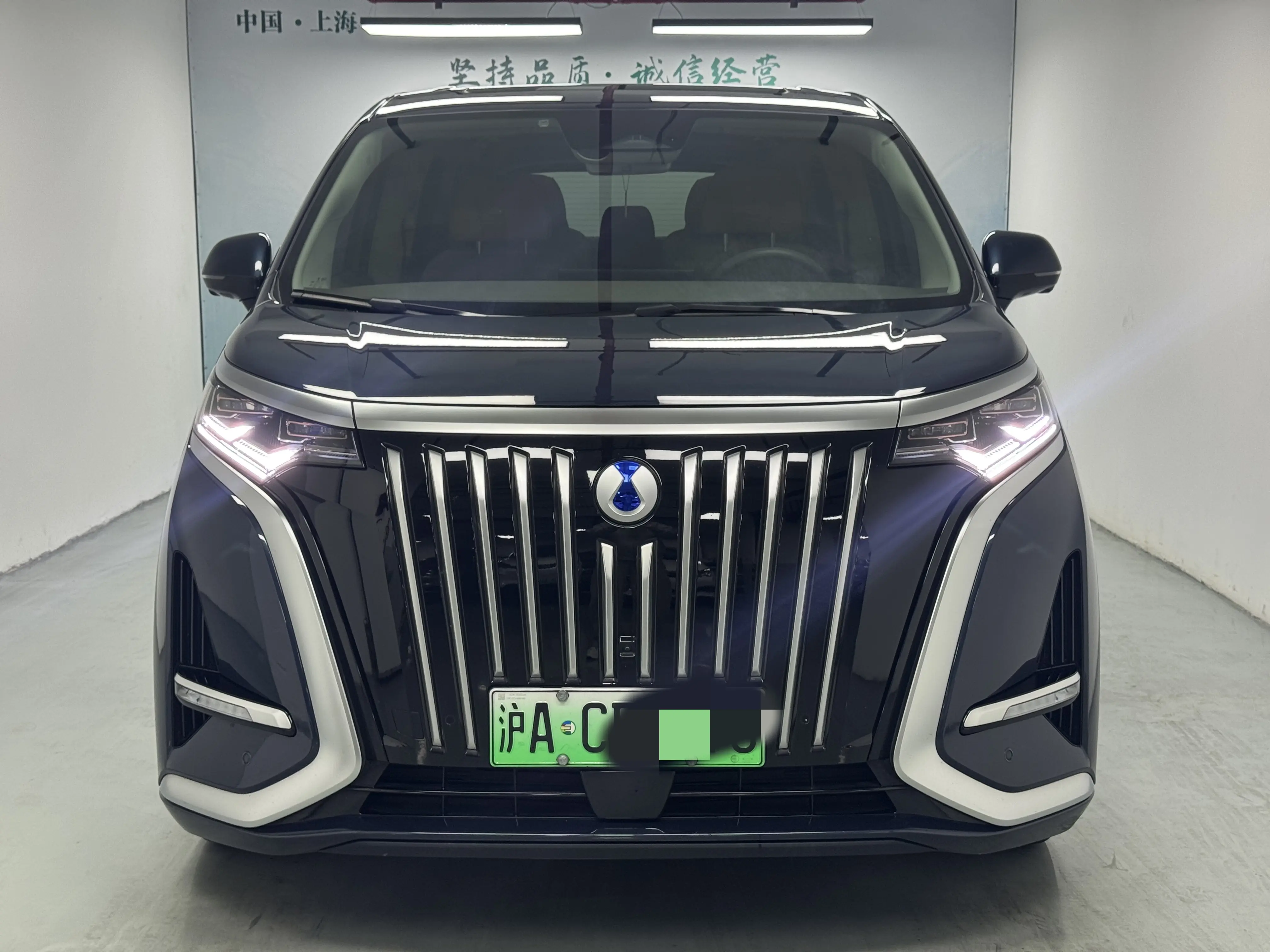 Denza D9 EV  из Китая