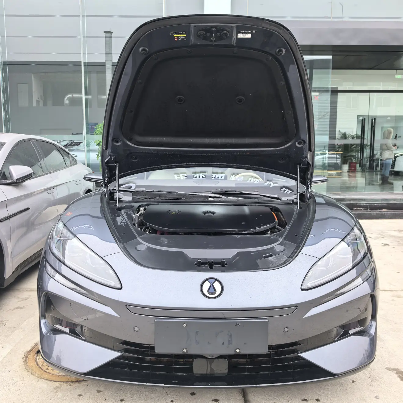 Denza Tengzhong Z9 DM  из Китая