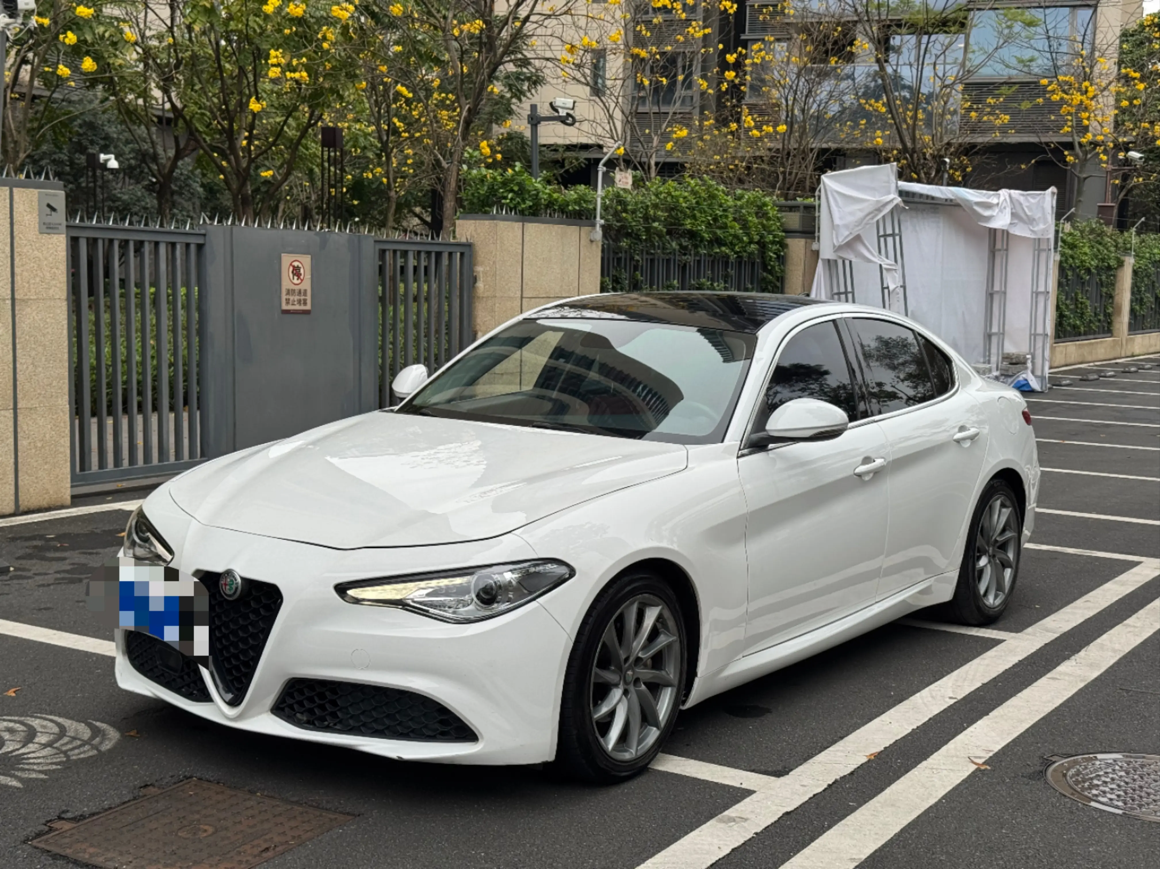 Alfa romeo Giulia Juliet