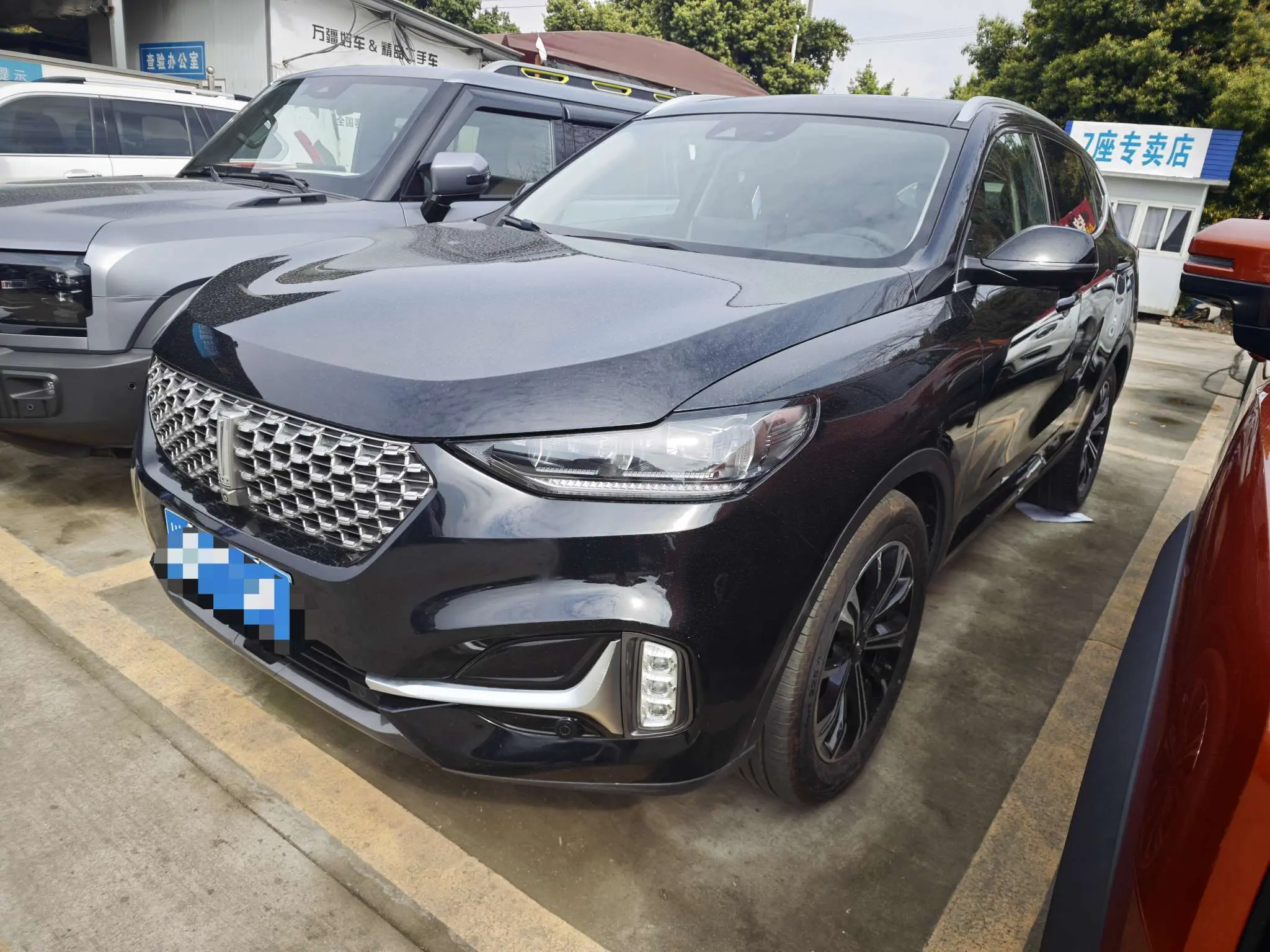 Wey Wei brand VV6