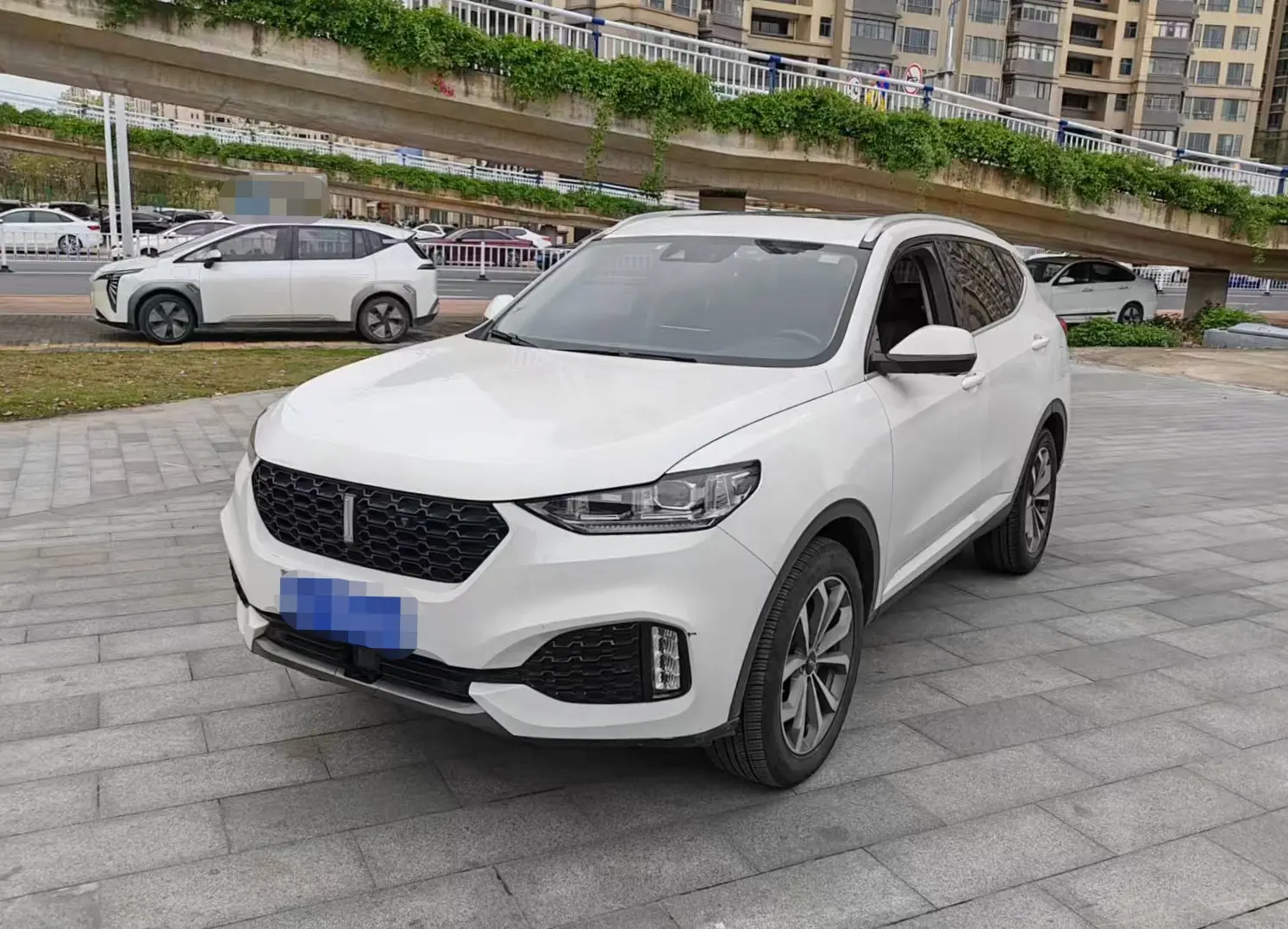 Wey Wei brand VV6