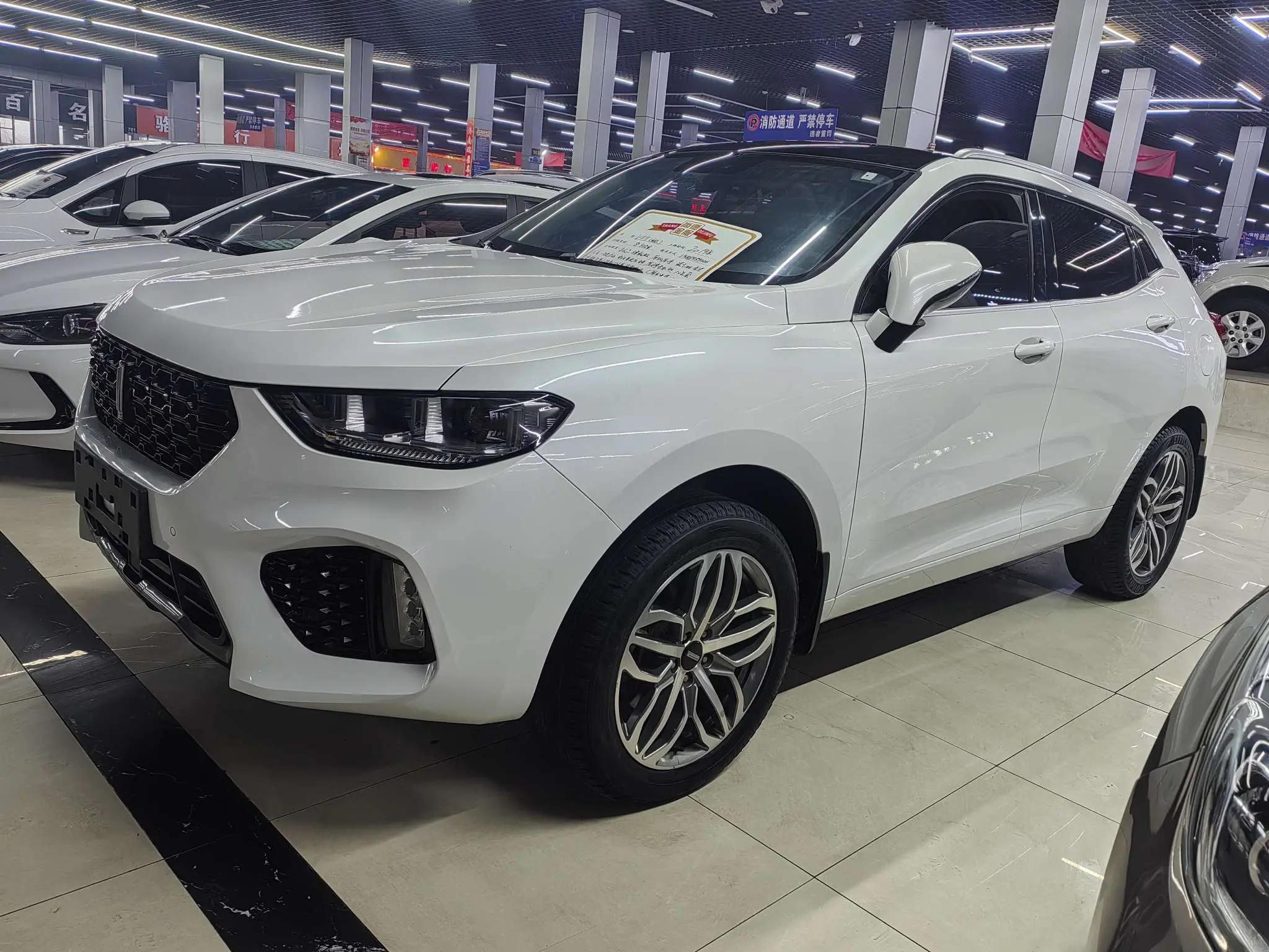 Wey Wei brand VV5