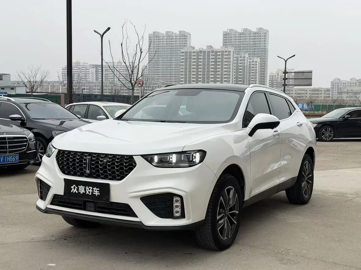 Wey Wei brand VV5