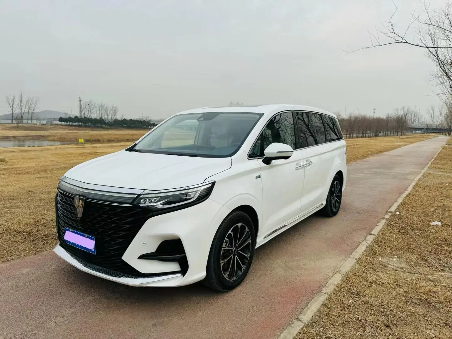 Roewe iMAX8  из Китая
