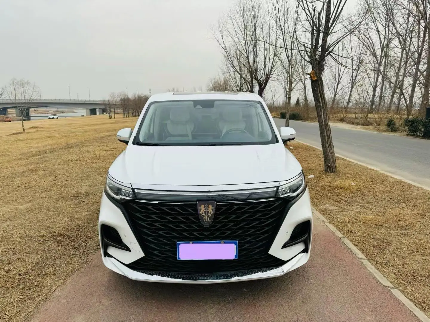 Roewe iMAX8  из Китая