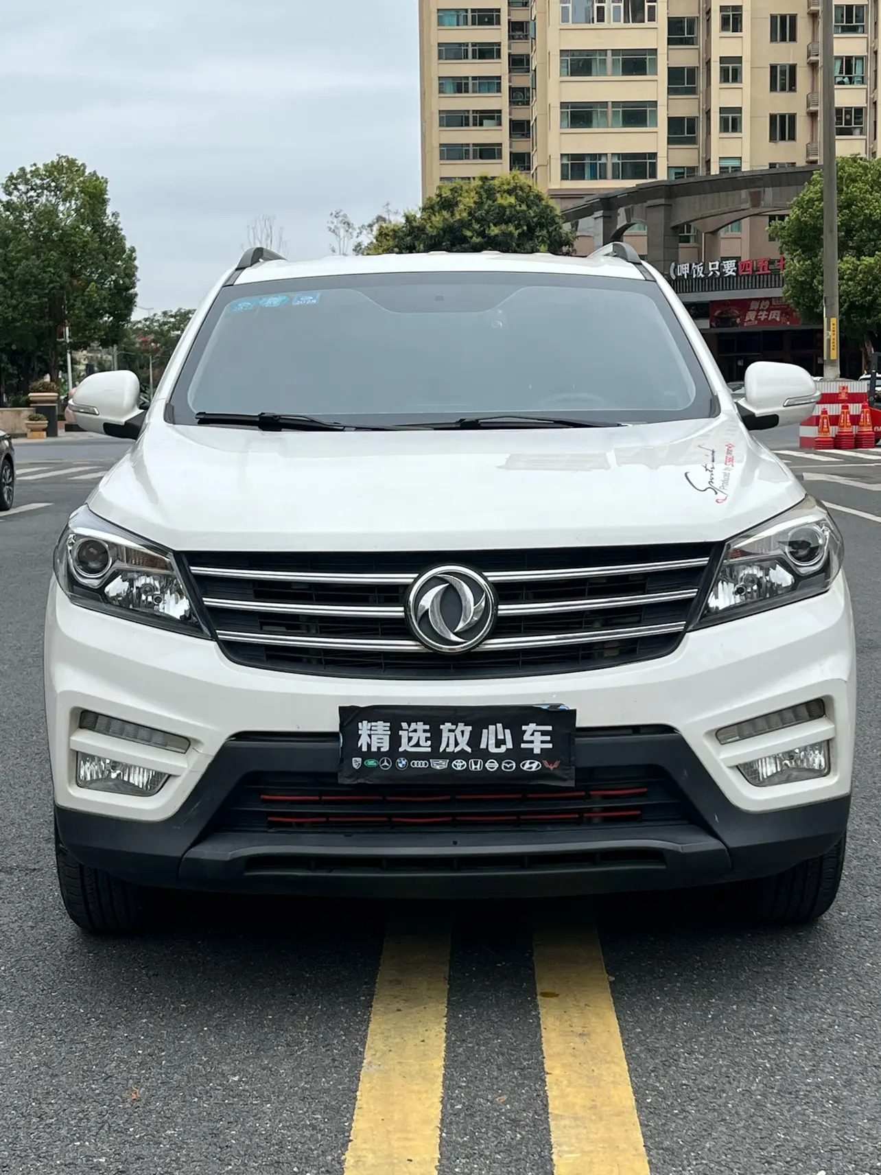 Dongfeng Scenery S560  из Китая