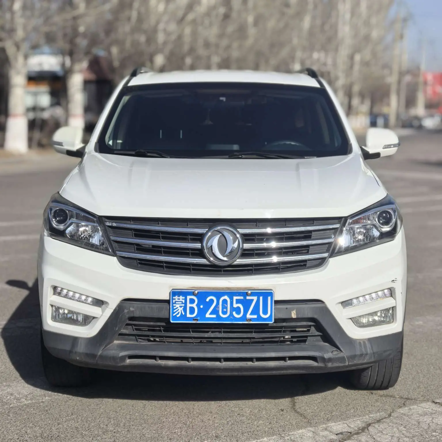 Dongfeng Scenery S560  из Китая