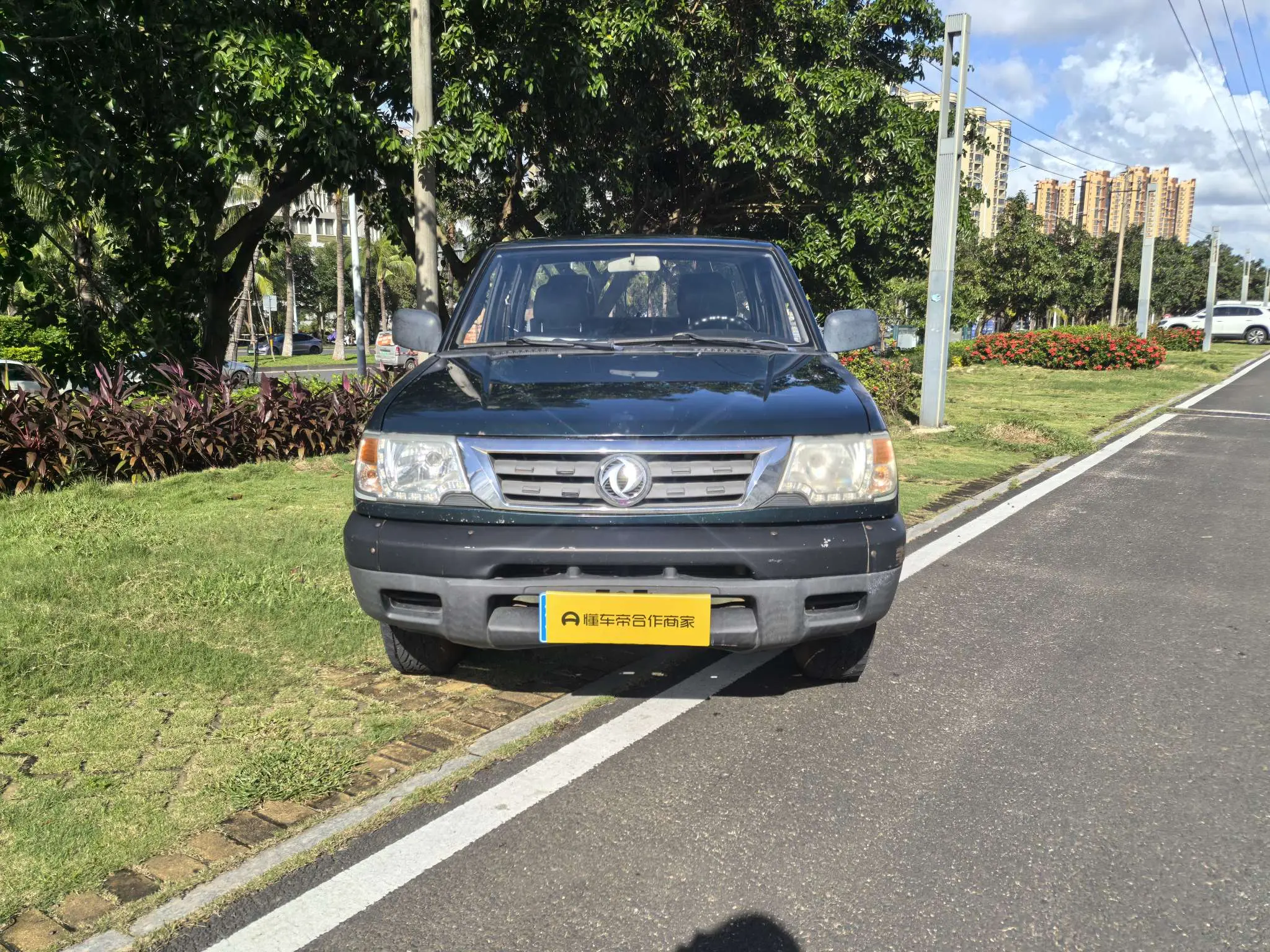 Dongfeng Ruiqi  из Китая