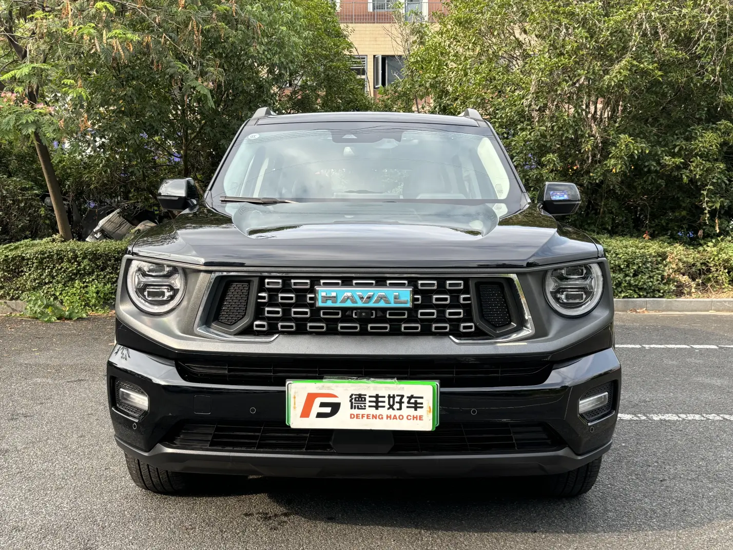 Haval Big Dog PLUS PHEV  из Китая