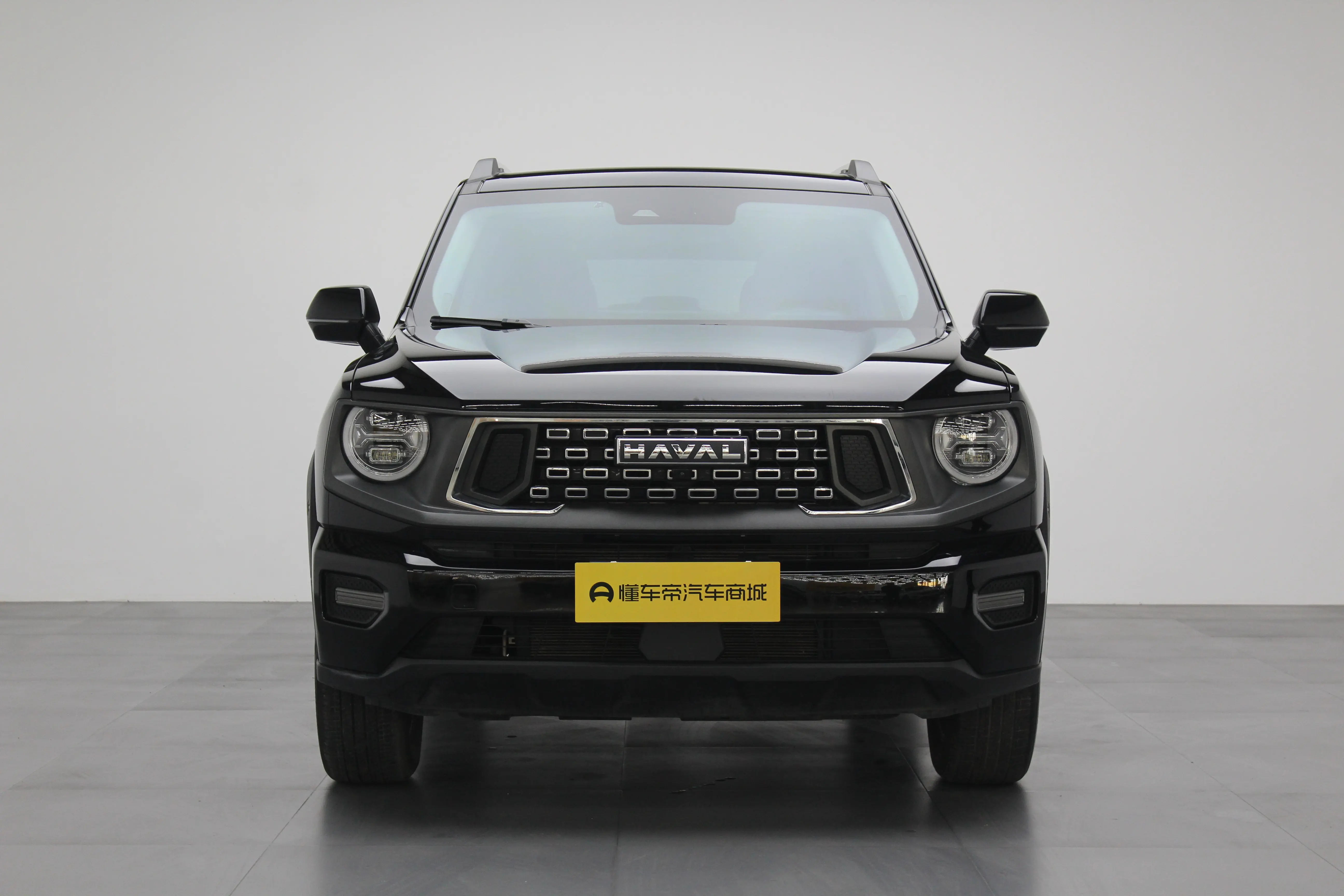 Haval Big Dog PLUS  из Китая